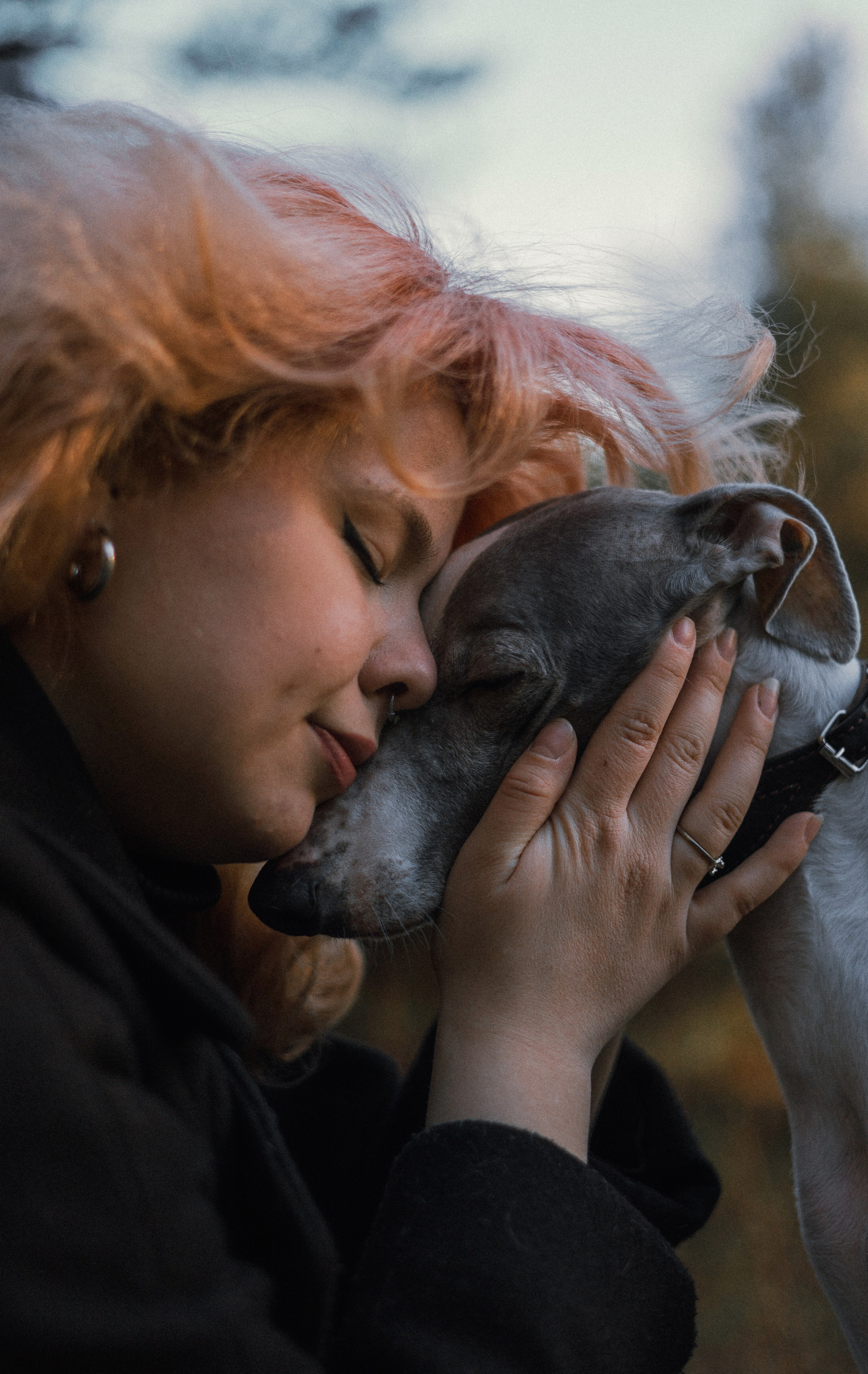 Вика, Джем и Белла. Фотограф-анималист Богданова Полина
