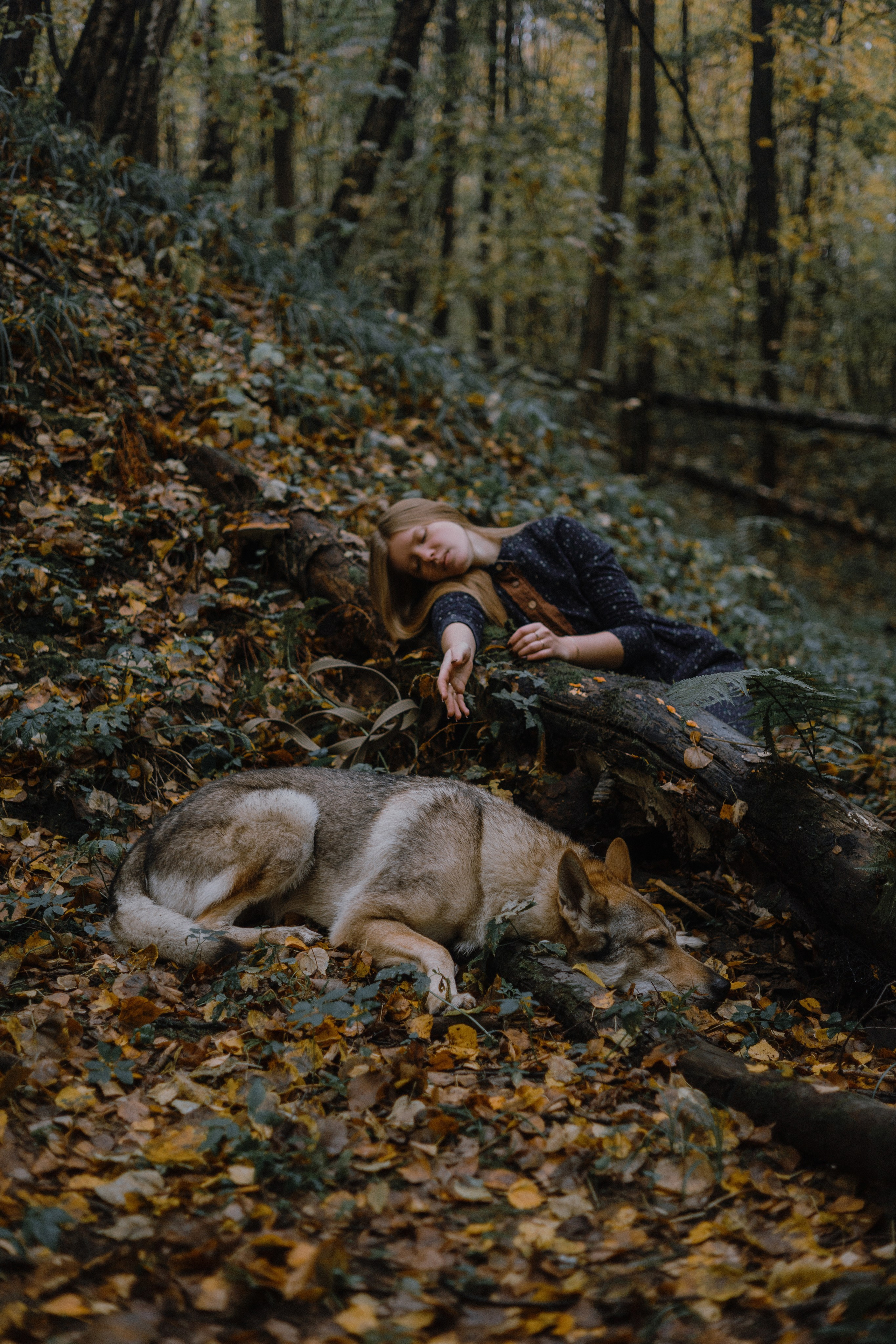 Полина и Вегард. Фотограф-анималист Богданова Полина