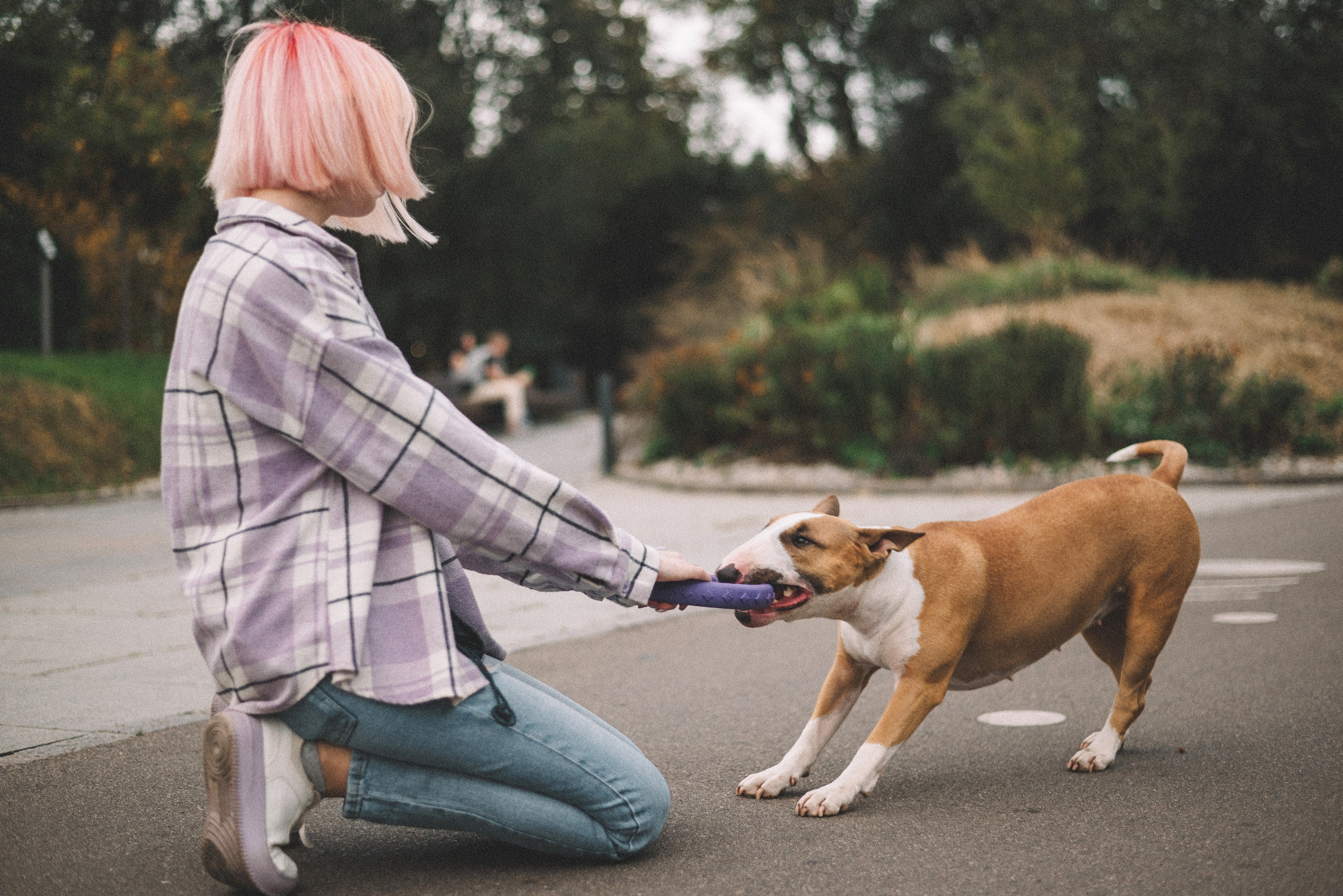 Маша и Рулька. Фотограф-анималист Богданова Полина