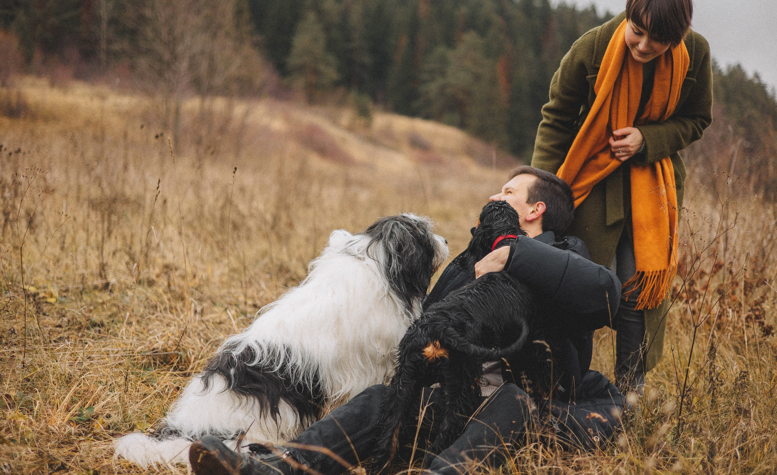 Даша, Глеб, Барс и Бруно. Фотограф-анималист Богданова Полина