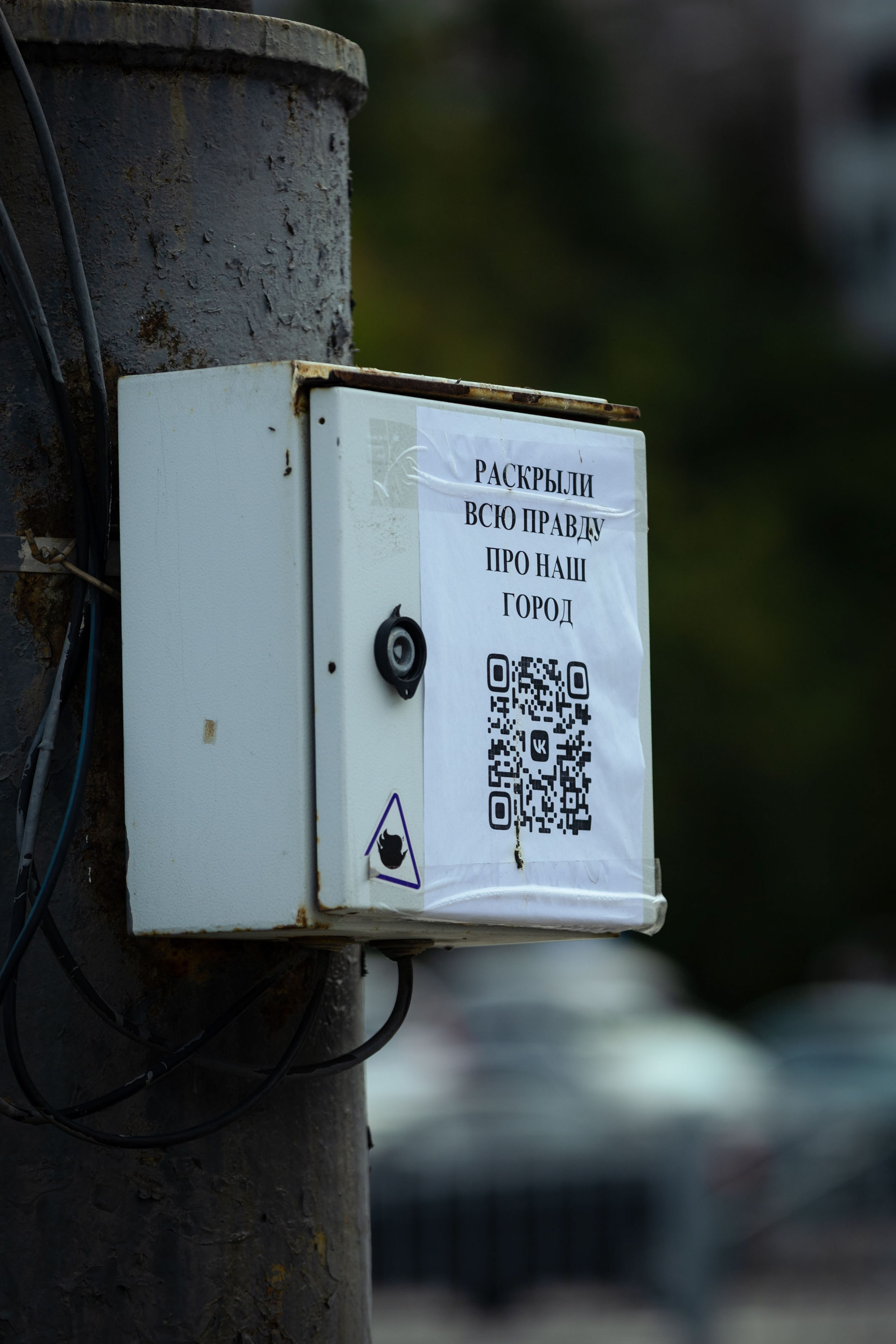 Кольский (осень 2025). Фотограф Виноградов Константин