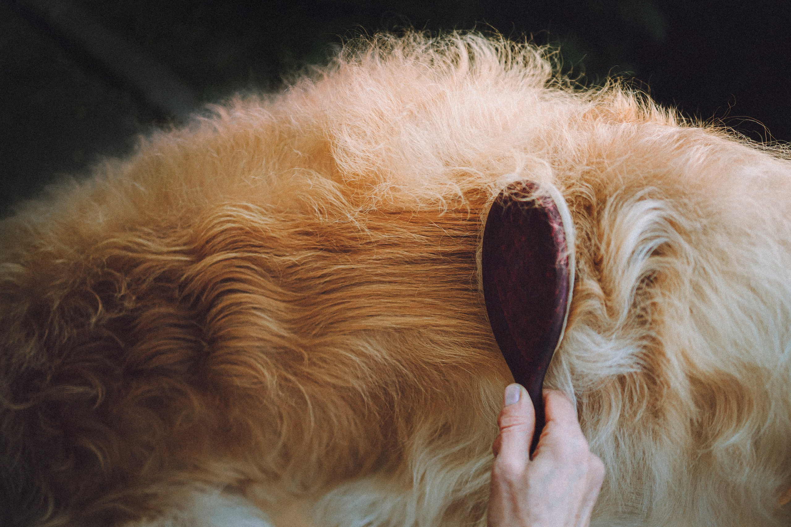 Илай, Зайка и их семья