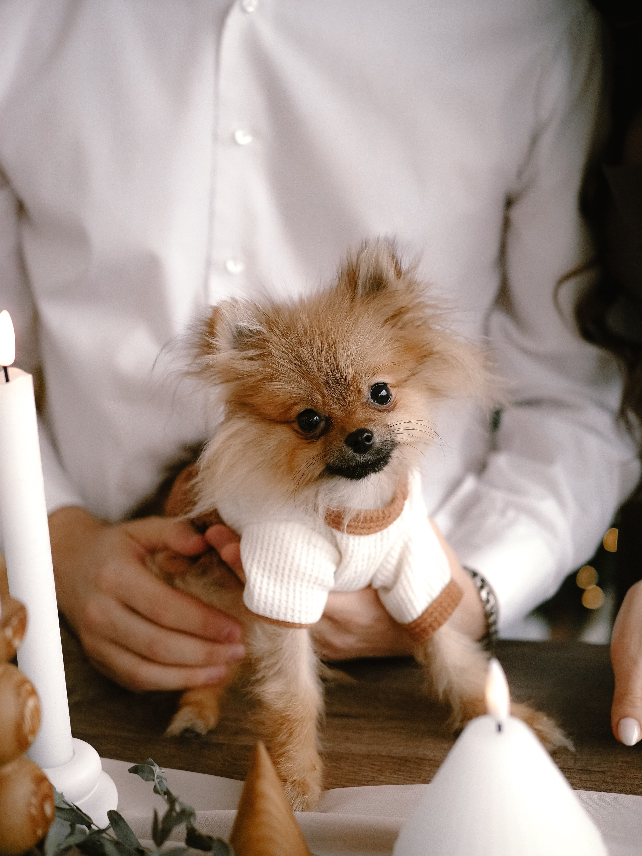 Нежные новогодние. Фотограф Рязань. Семейный Свадебный фотограф