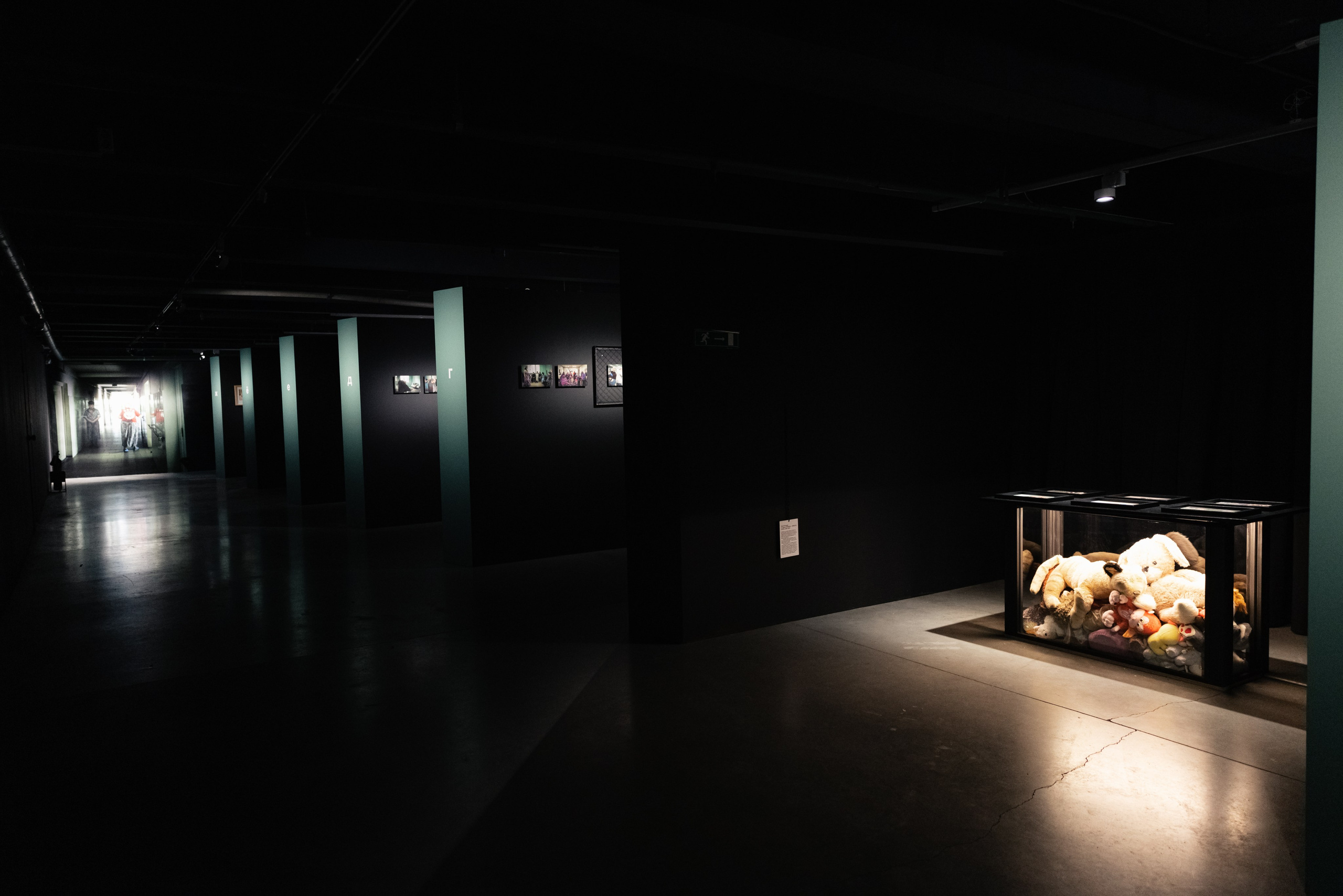 Выставка «Про ПНИ». Вадим Ветров