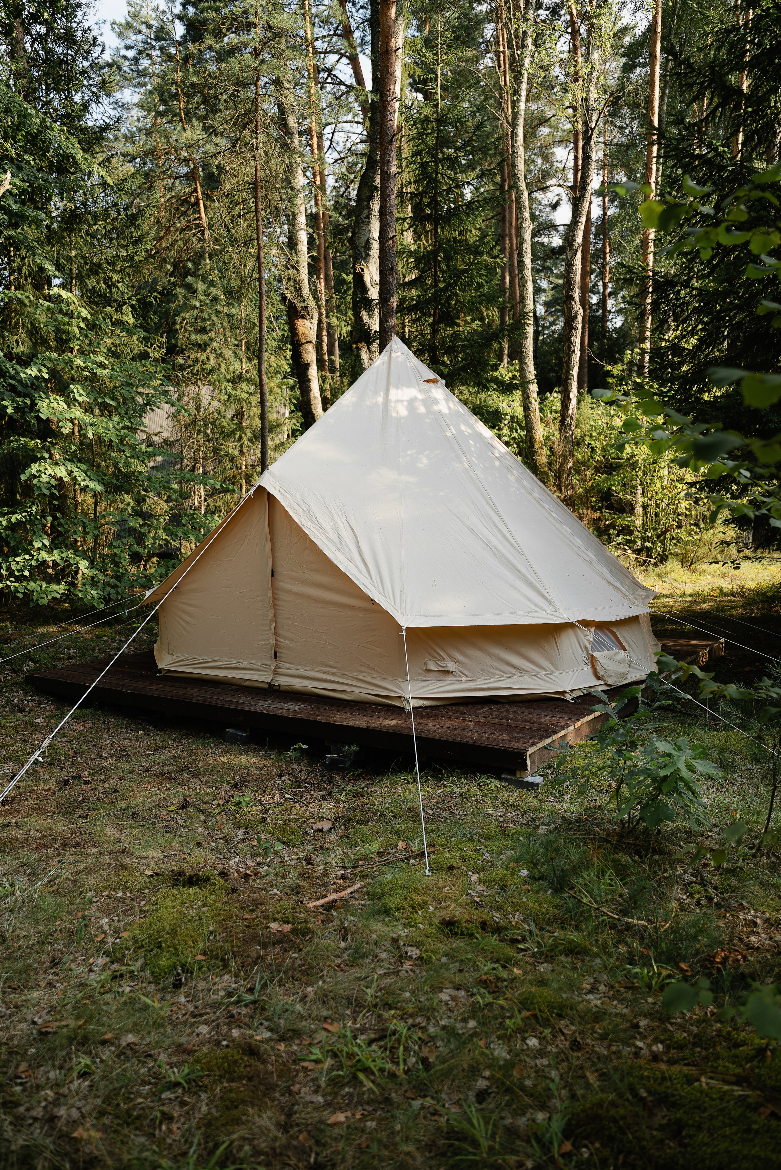 DZEN FOREST. Репортажный и свадебный фотограф в Минске Шамко Анатолий
