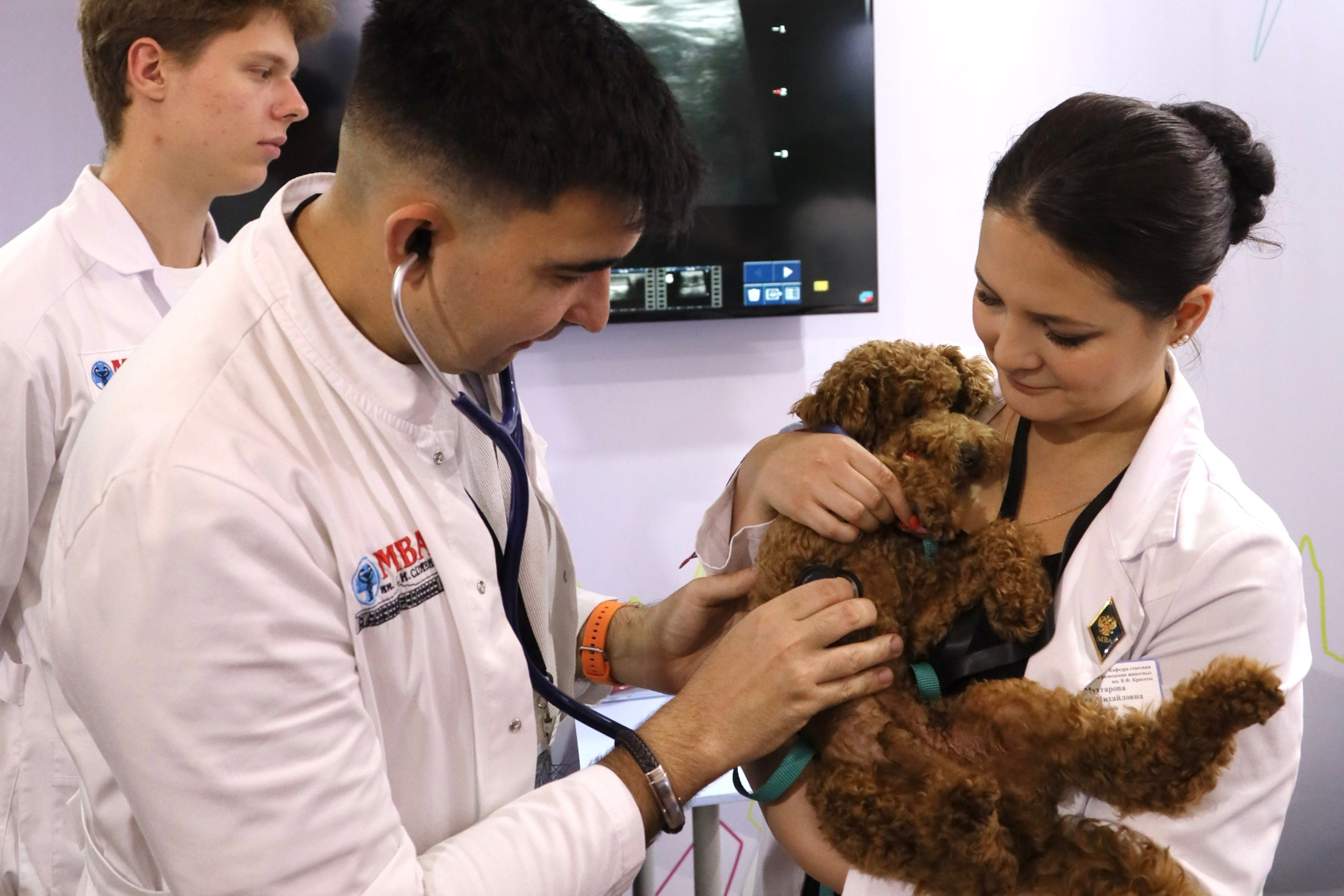 Фестиваль «Наука 0+». Фотосессии и репортаж — Фотограф в Москве — Рина Серёгина