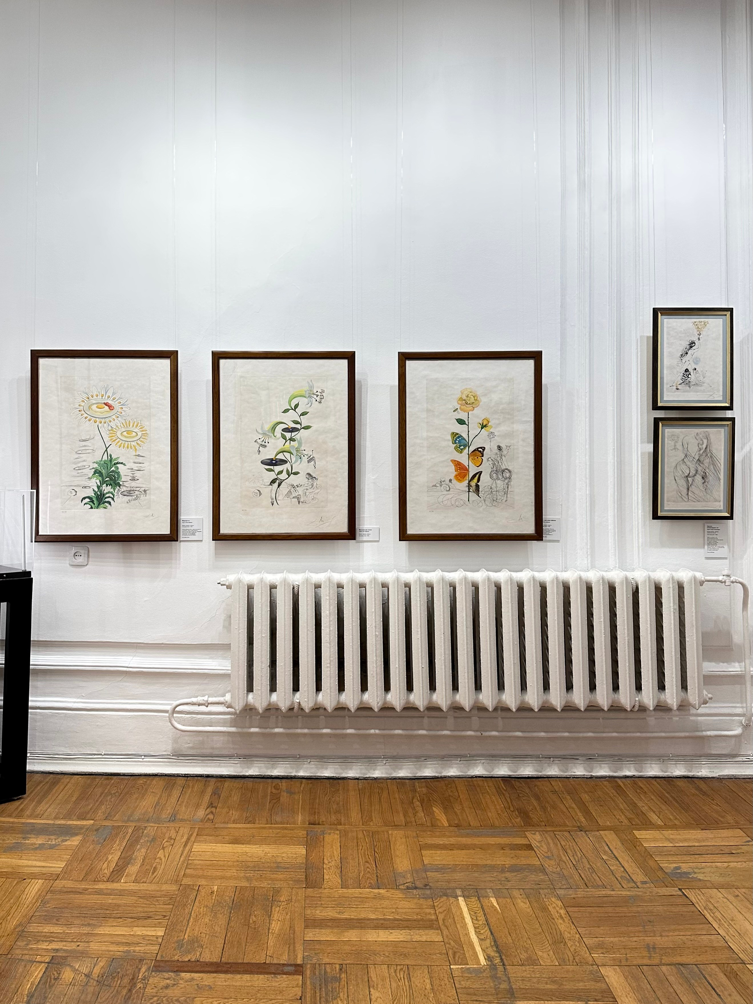 Выставка Дали & Пикассо. Фотосессии и репортаж — Фотограф в Москве — Рина Серёгина