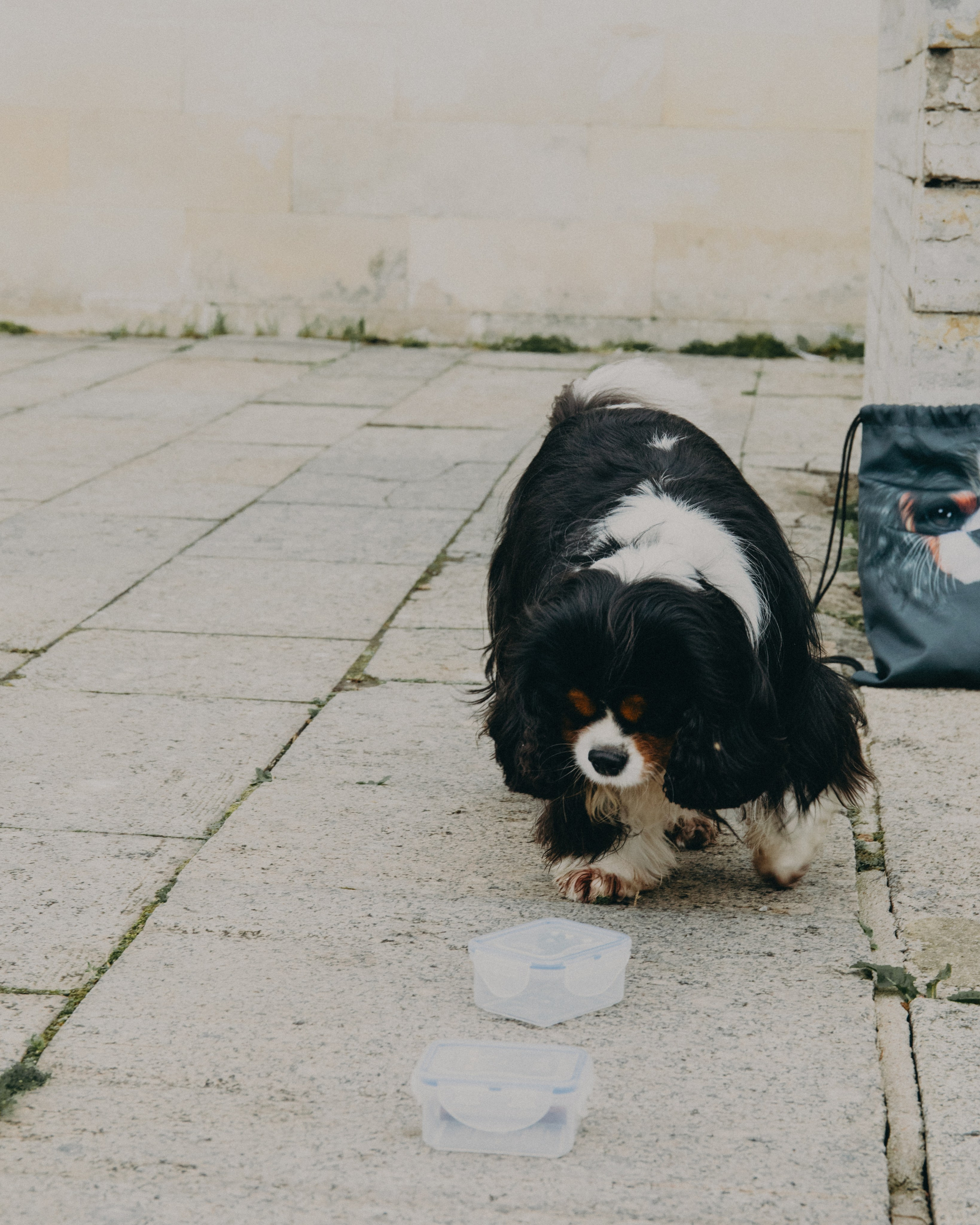 Гилдин. Портретный фотограф Ванинен Анастасия. Санкт-Петербург