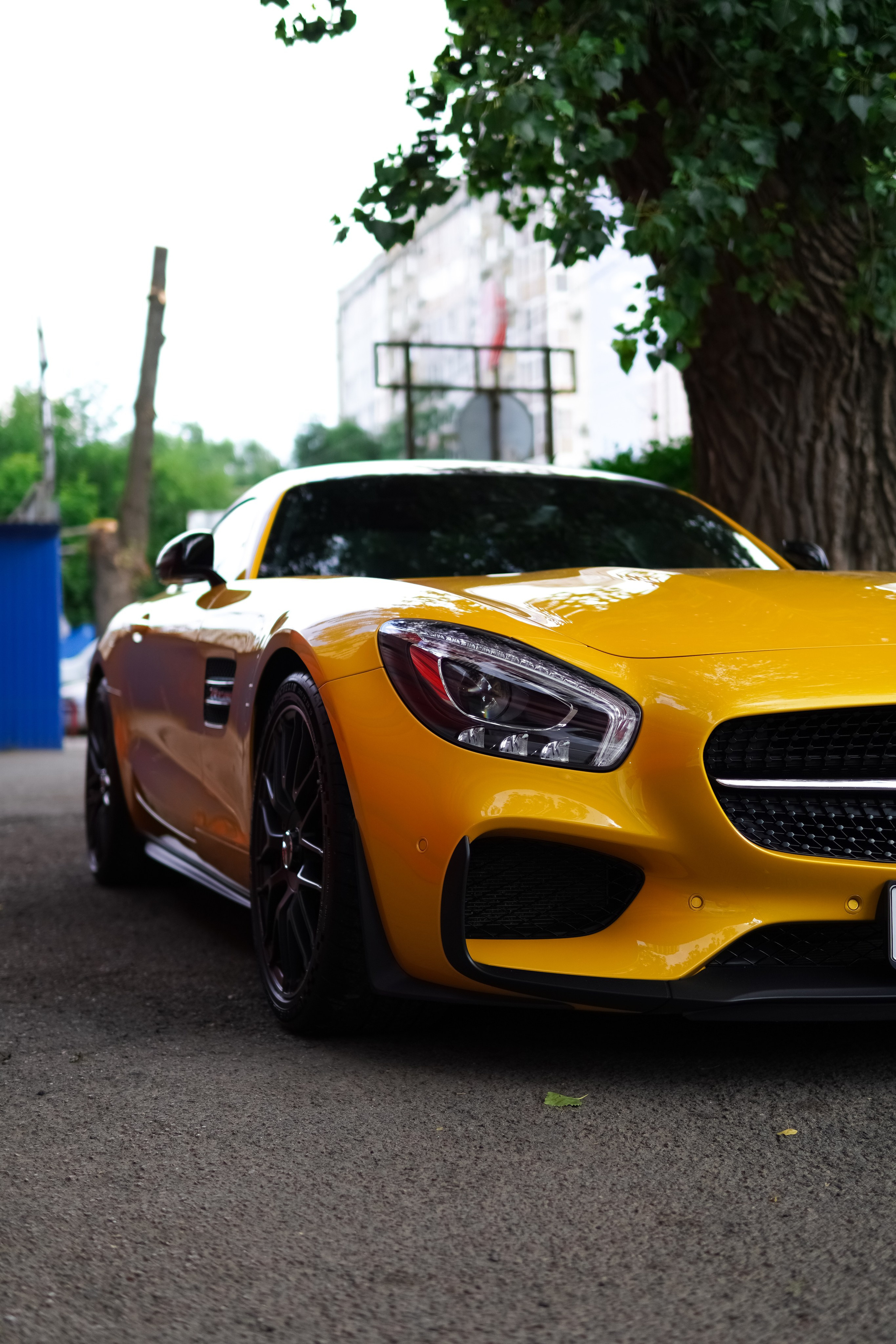 Mercedes-Benz AMG GTS. AutoAlexArt