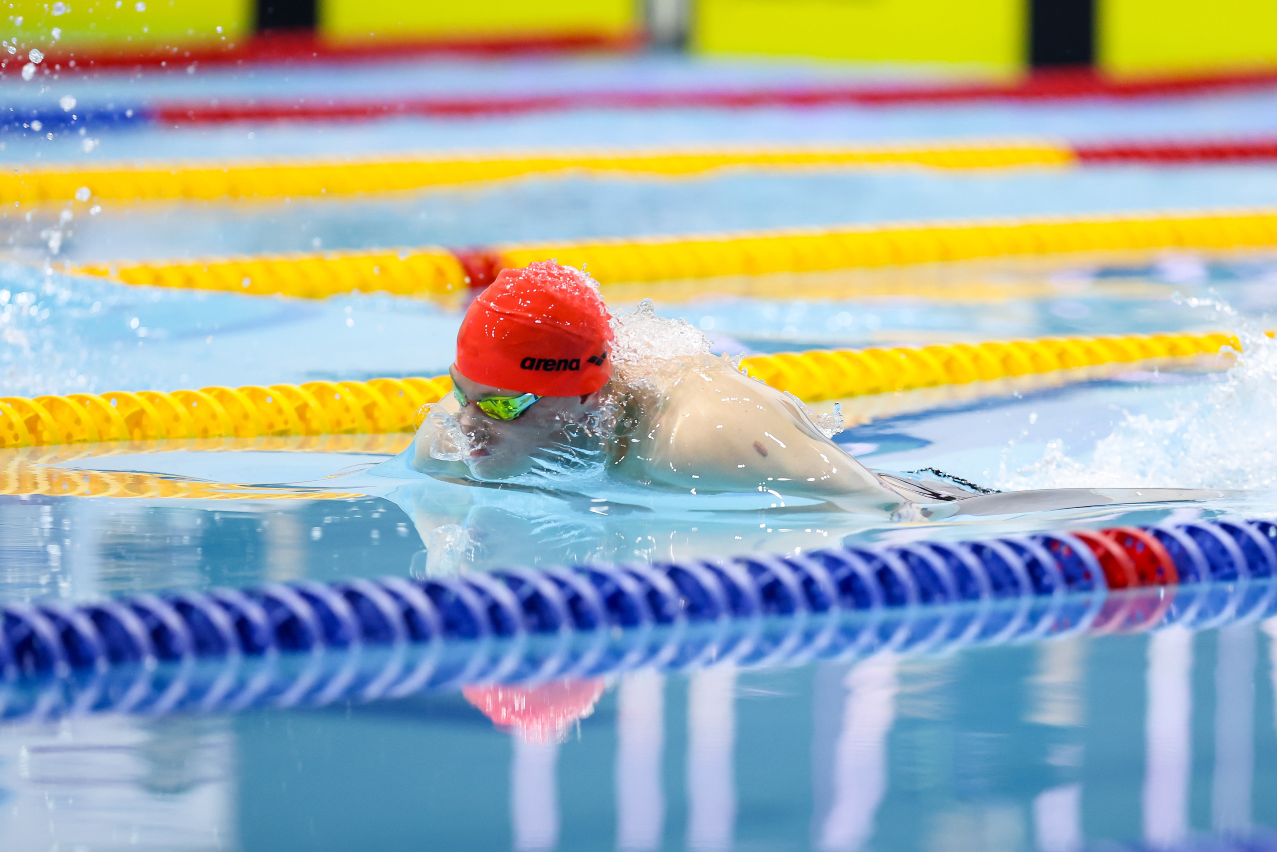 Чемпионат России по плаванию 25 м 21-26.11.2024. Спортивный и репортажный фотограф Антон Тереханов