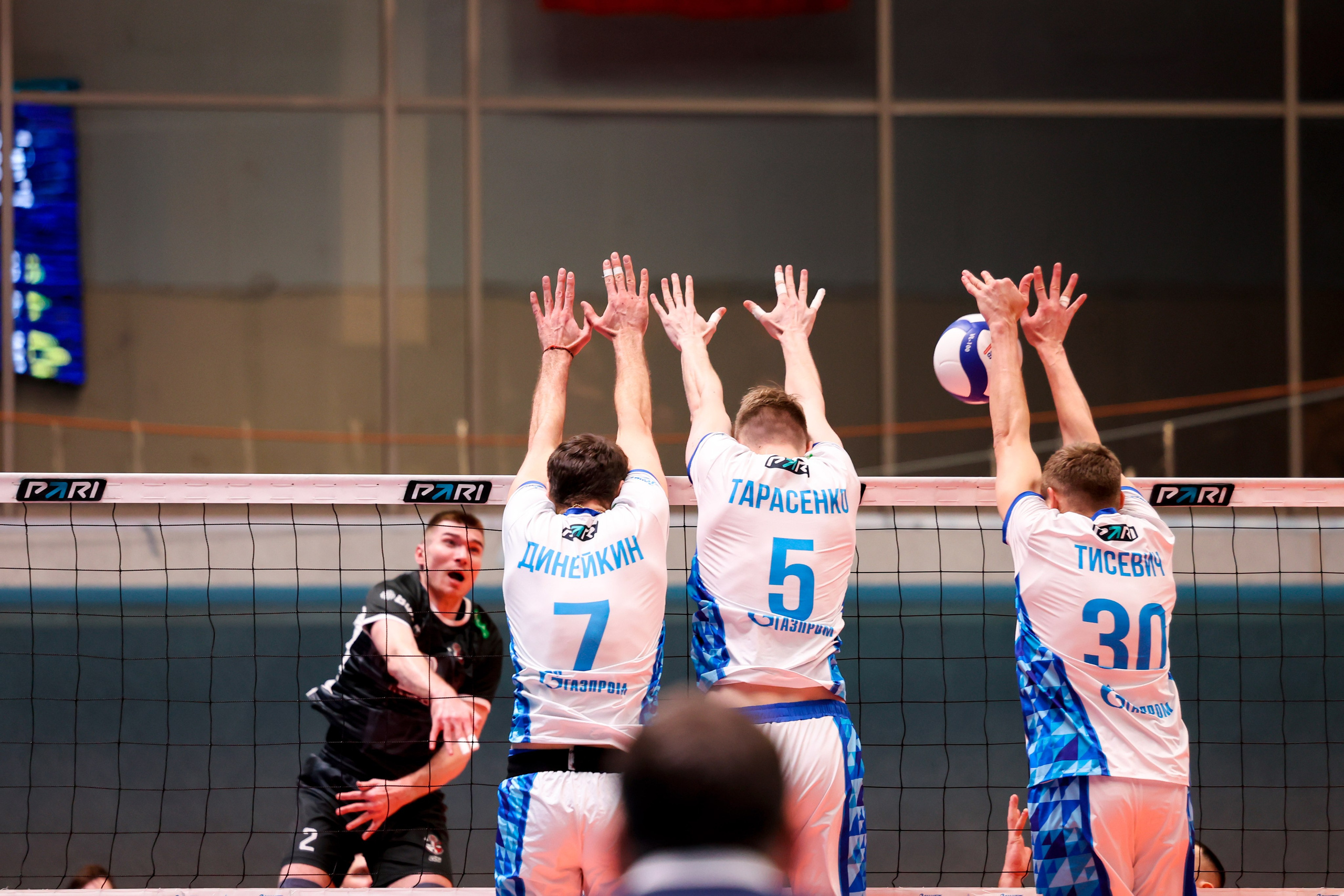 ВК Зенит — ВК АСК 15.03.2025. Спортивный и репортажный фотограф Антон Тереханов