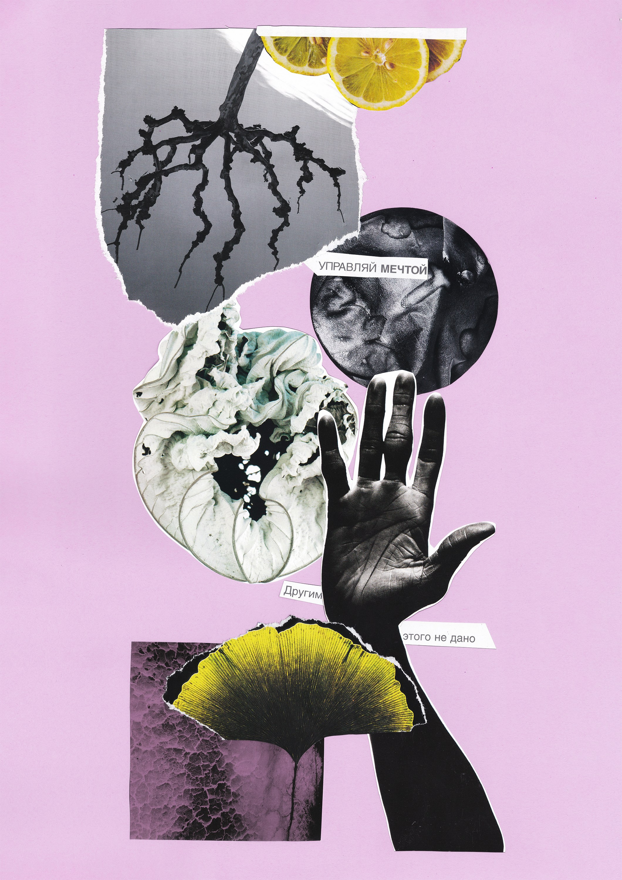 ANALOG COLLAGE. Анна Ульянова