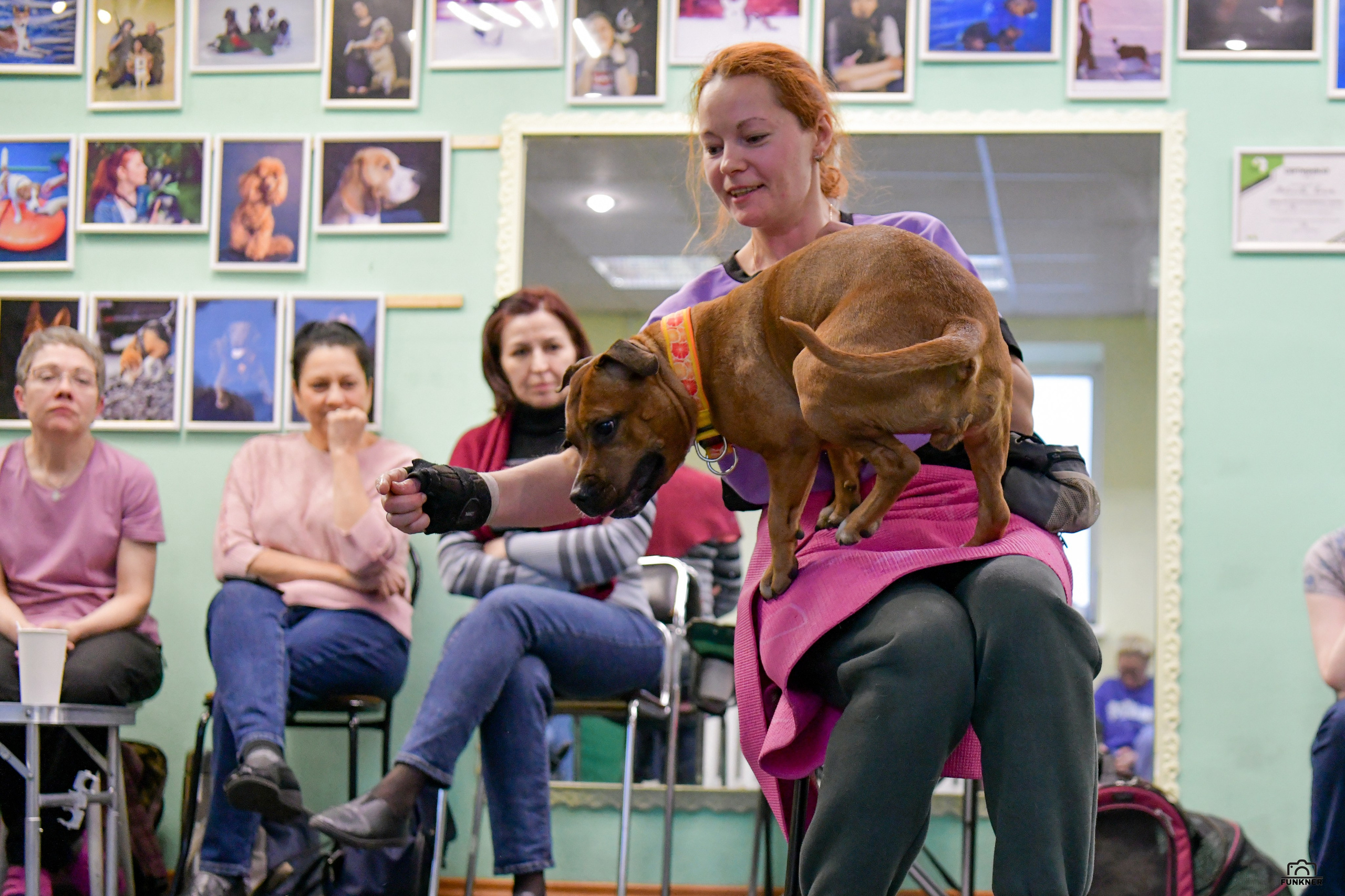 Кинологический клуб «Бодрый хвост». Свой взгляд через объектив