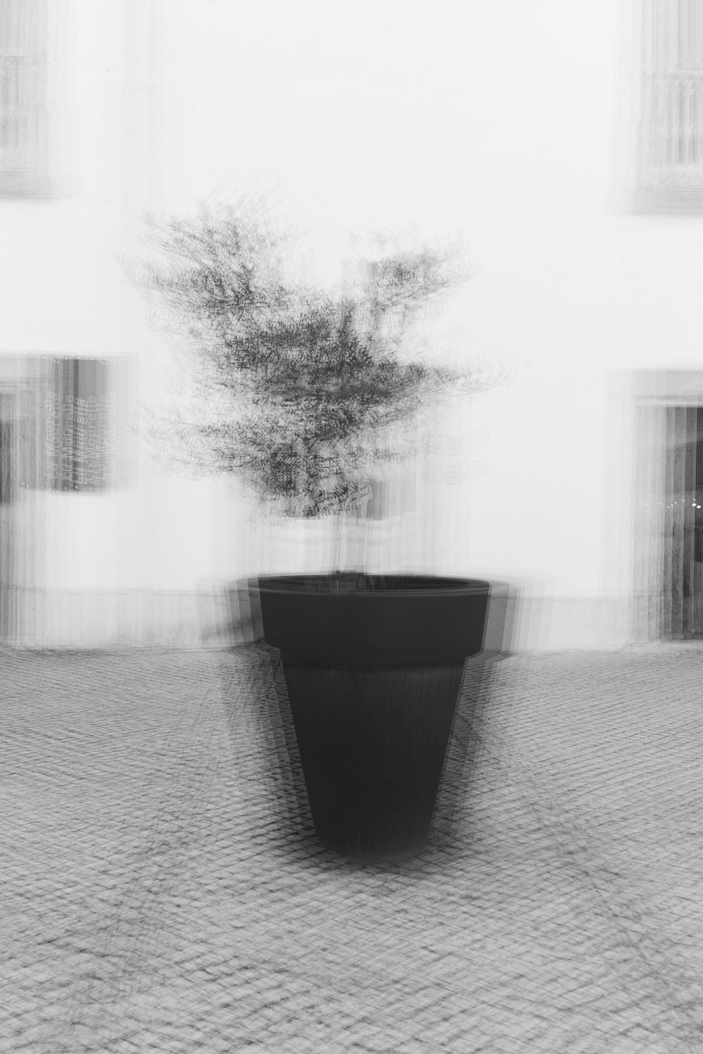 Точка сборки | The assembly point. Фотограф алина стерхова, алина стерхова фотограф, фотограф москва