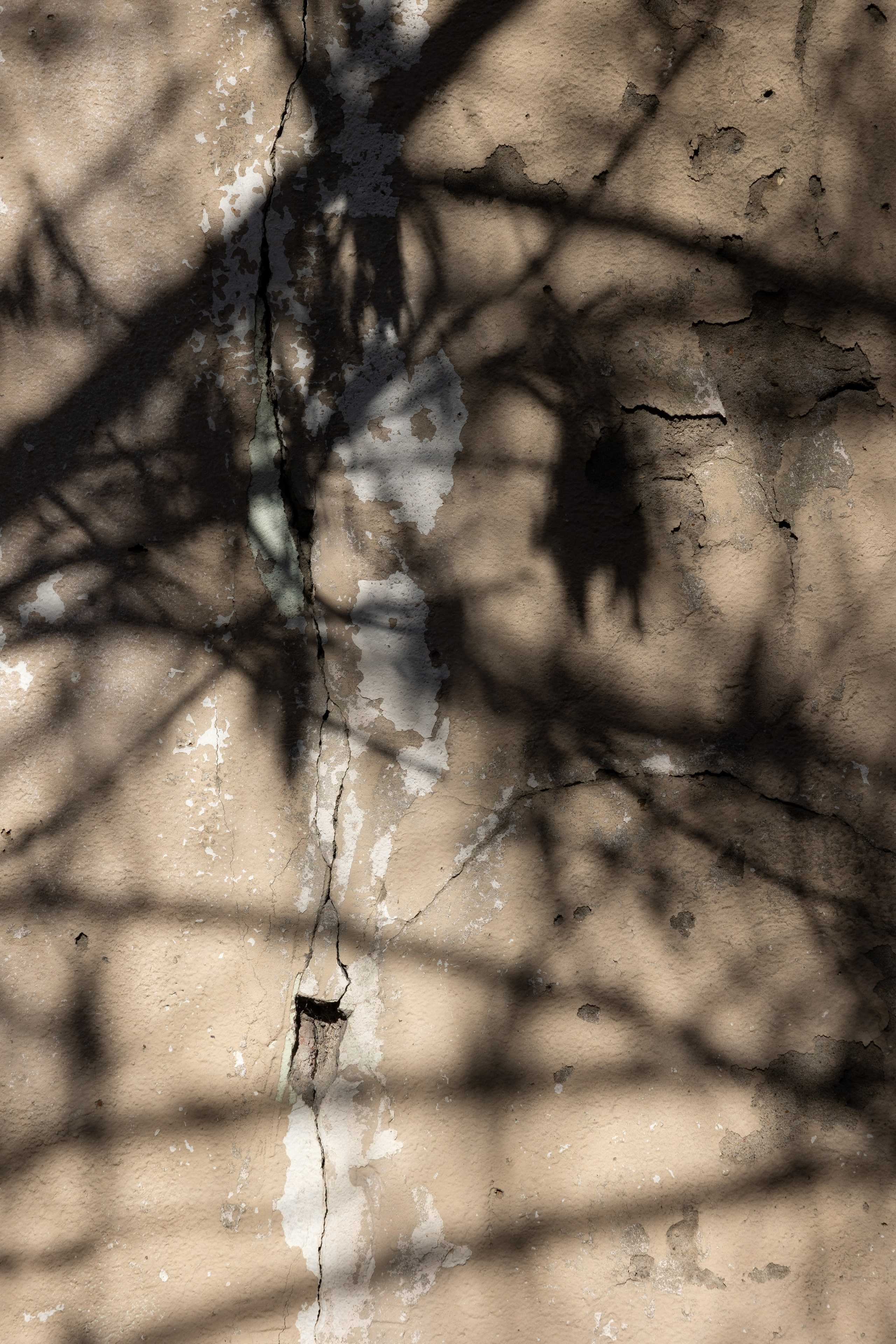 Art prints. Фотограф алина стерхова, алина стерхова фотограф, фотограф москва