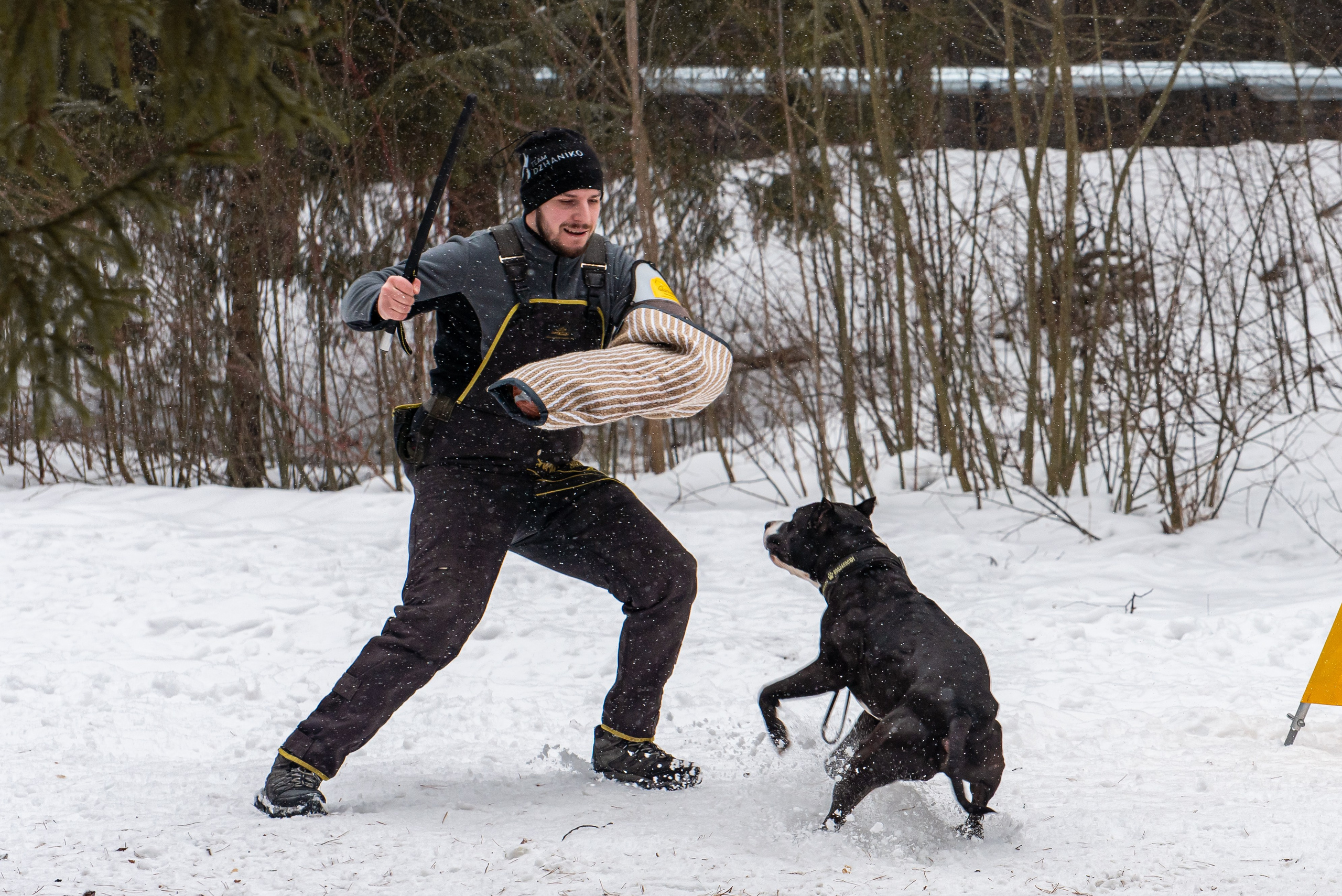 Фотосъёмка с собаками в Кинологическом лагере. Фотограф Макс Огурцов в Нижнем Новгороде