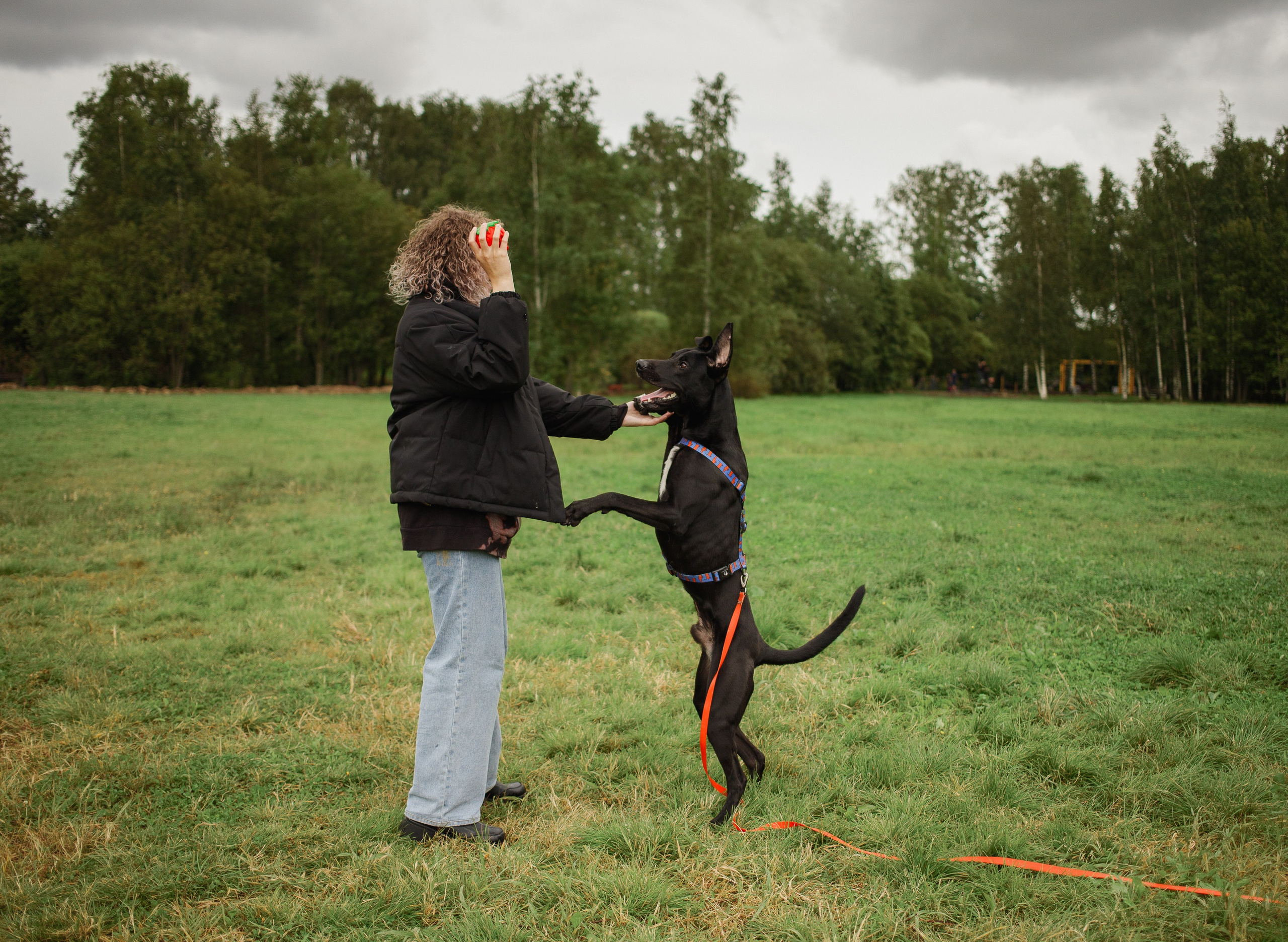Отис ищет дом. Портретный фотограф в Санкт-Петербурге Катя Протасевич