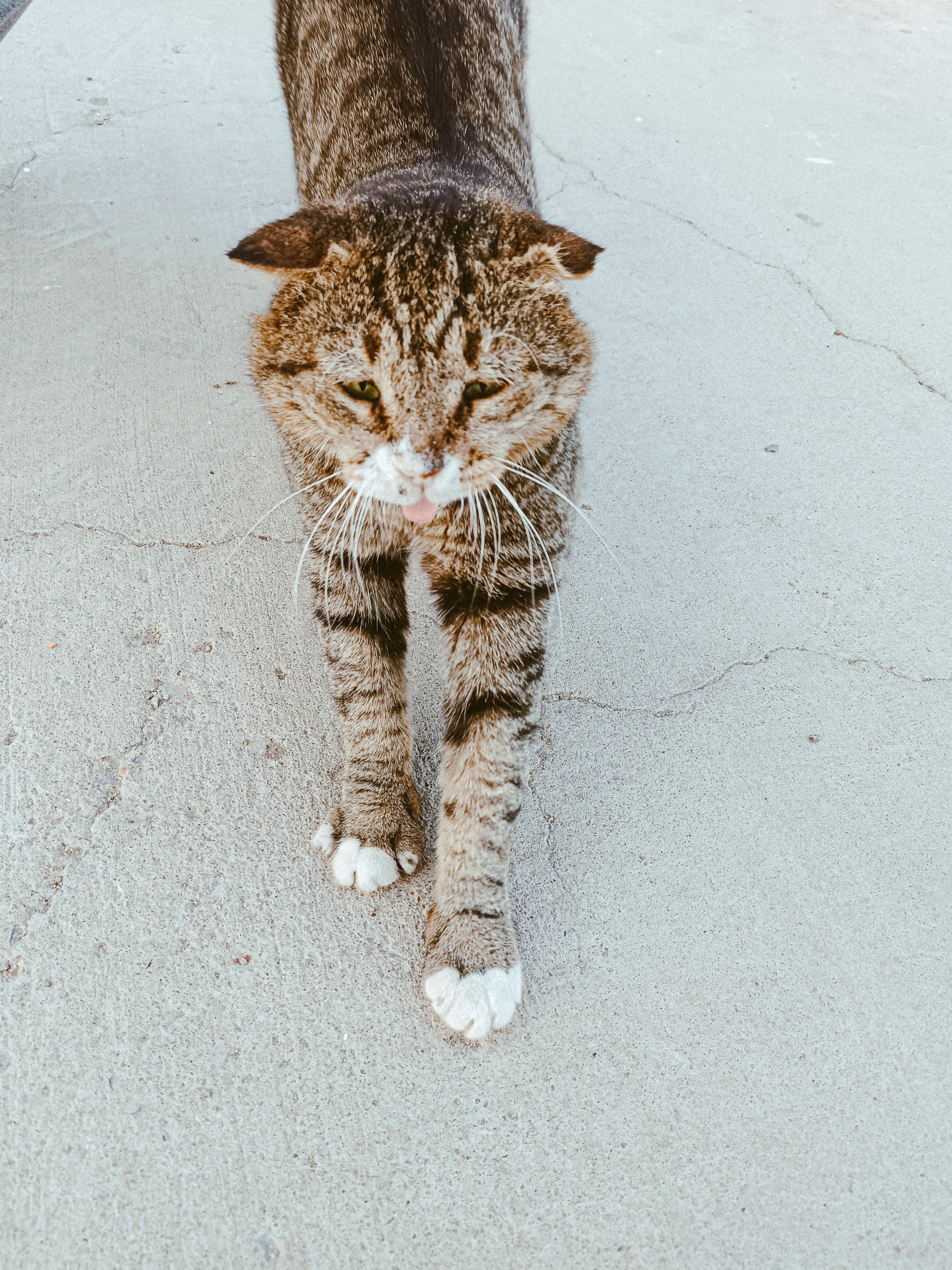 Мобильная. Jorgis — фотограф в Хургаде / обучение фотографии