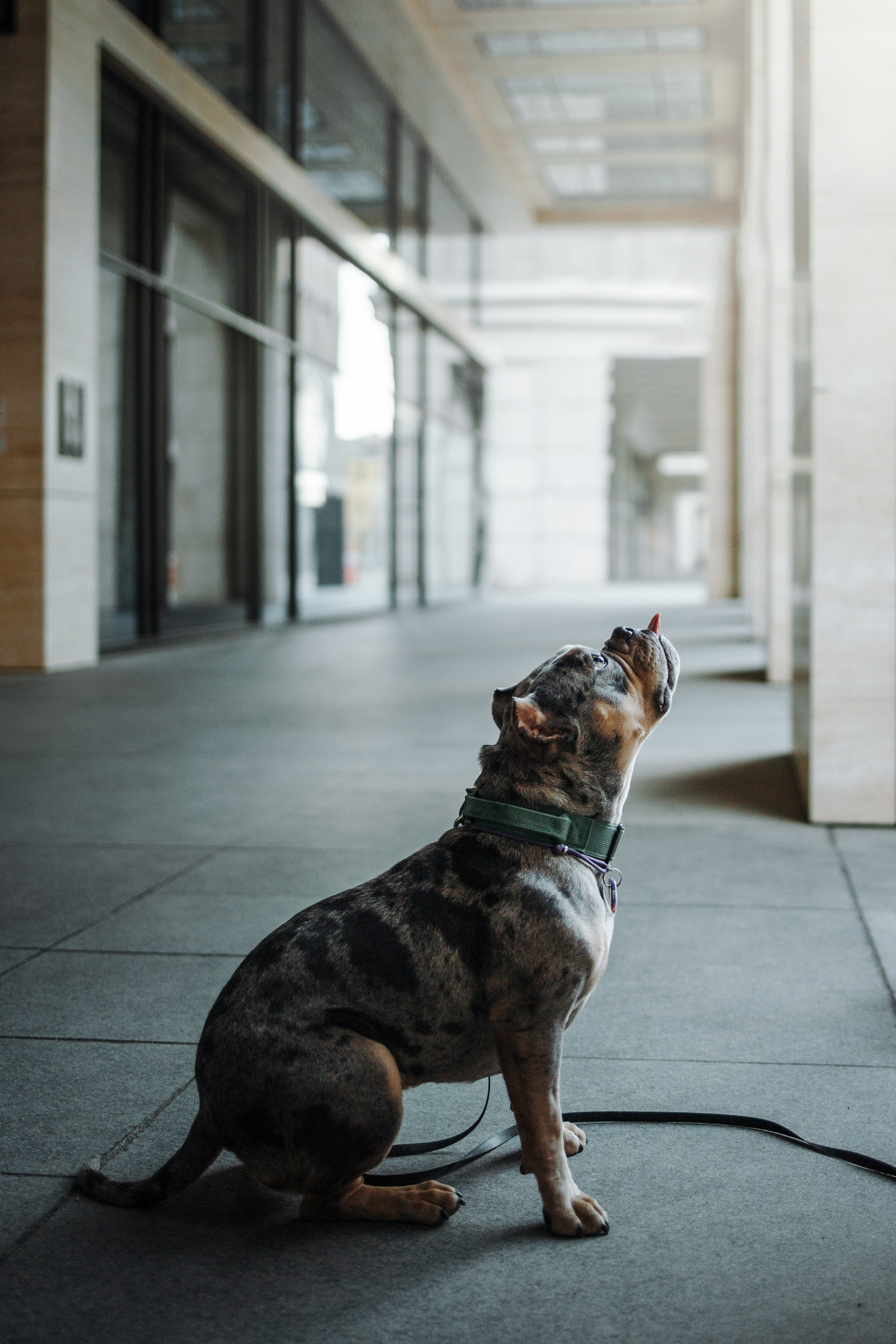 Лера и ее булочки. Фотограф — Анималист | Санкт-Петербург