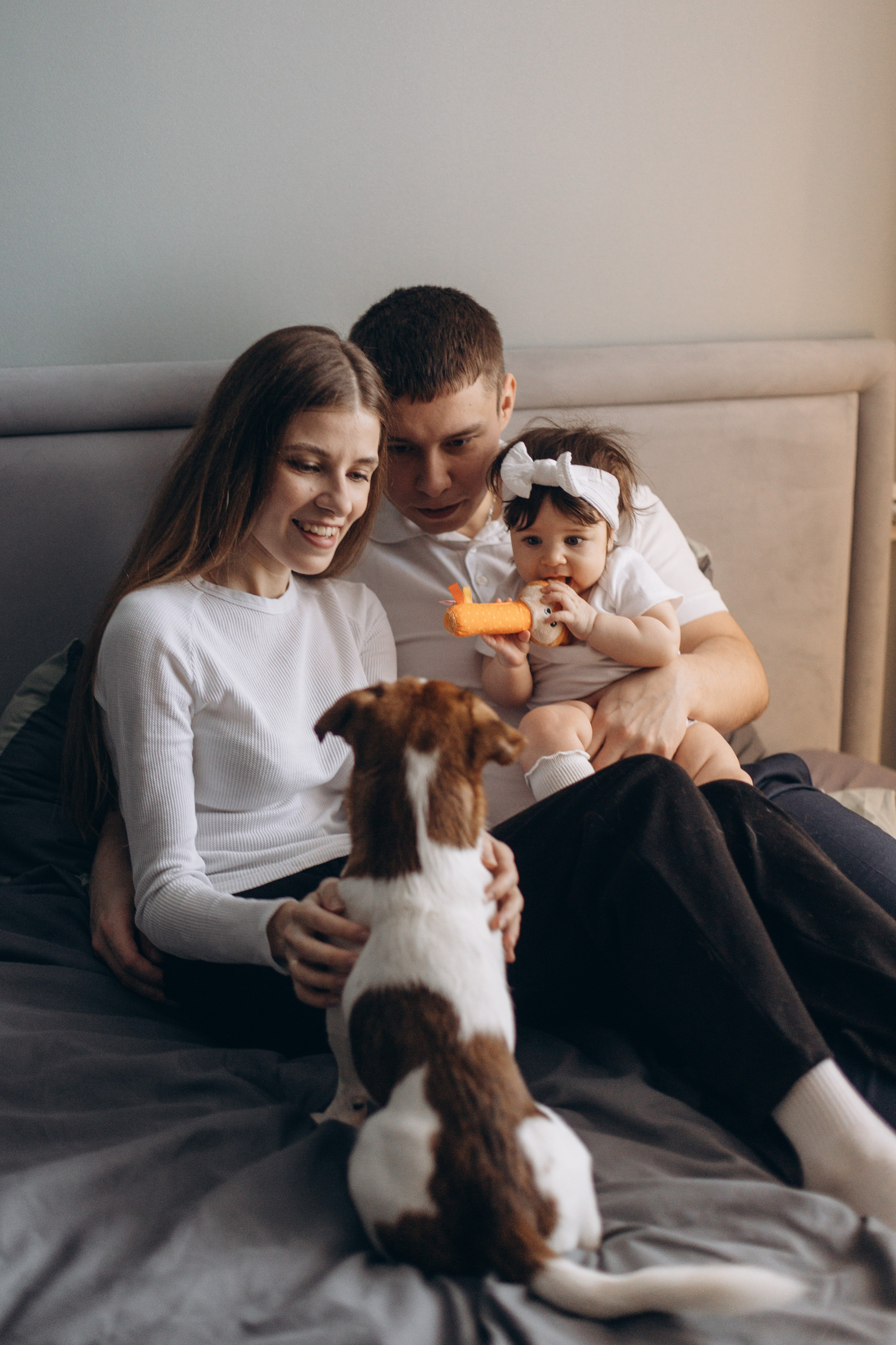 Джой и его семья. Фотограф — Анималист | Санкт-Петербург