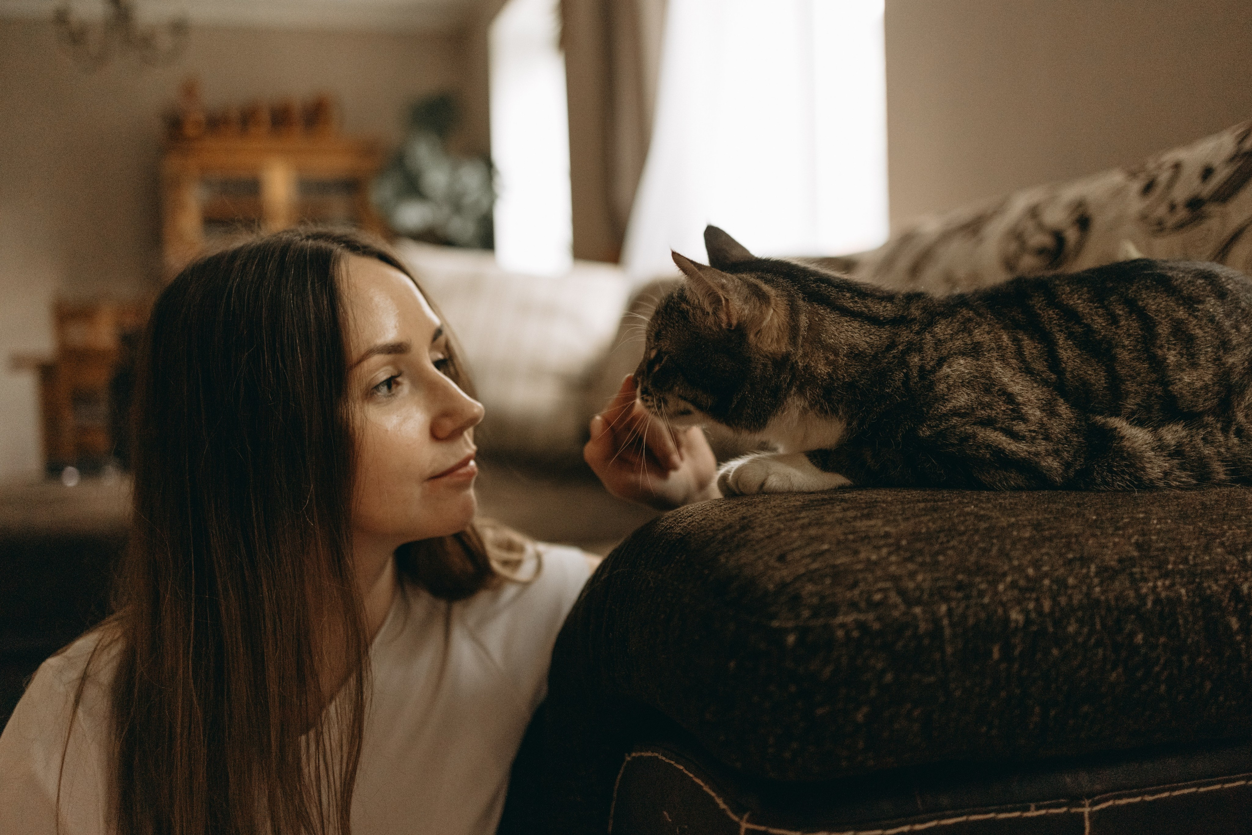 Софа и ее хвостики. Фотограф — Анималист | Санкт-Петербург