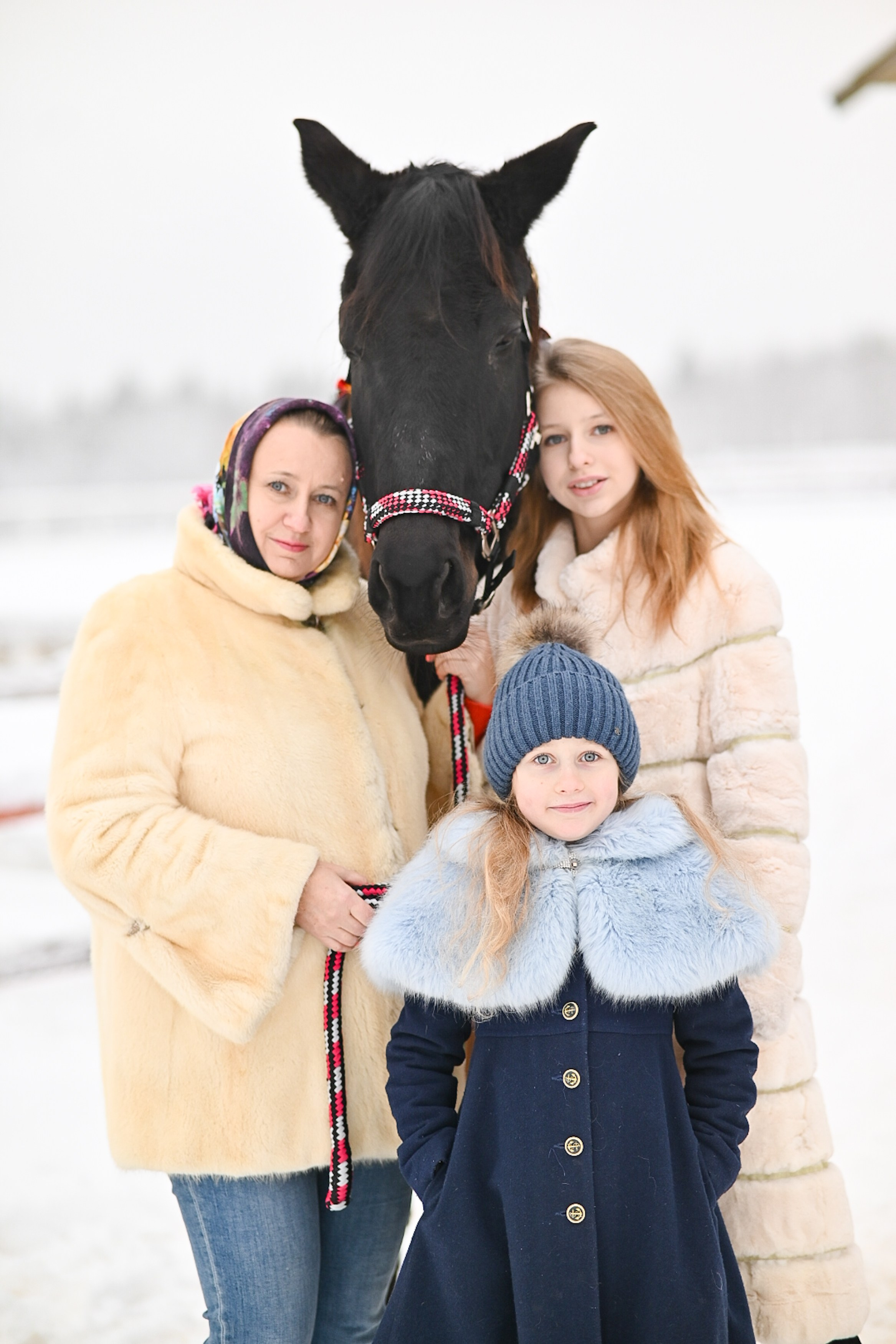 King. LifeStyle фотограф Анна Воробьёва Санкт-Петербург
