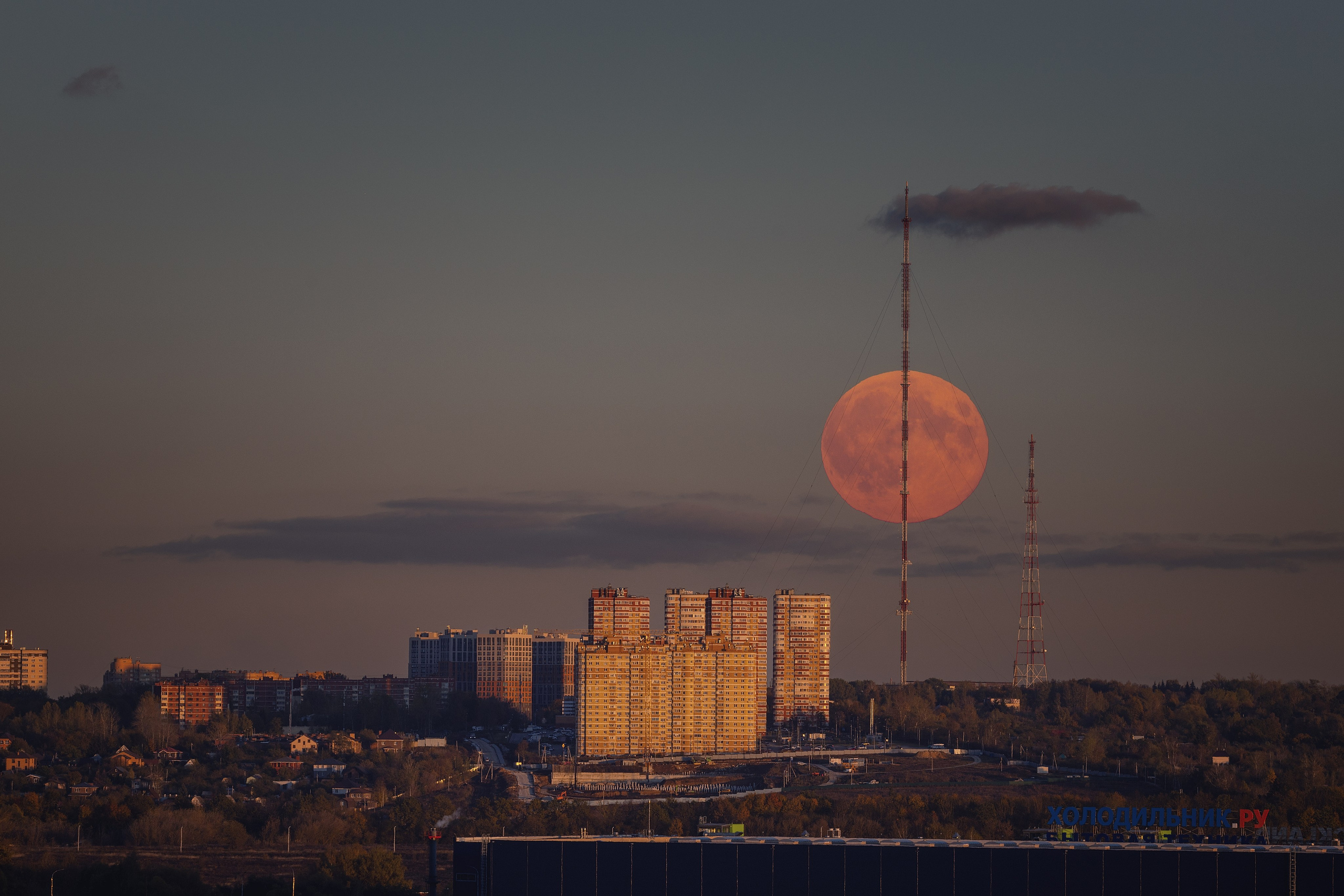 Николай Брытков — фотограф в Туле