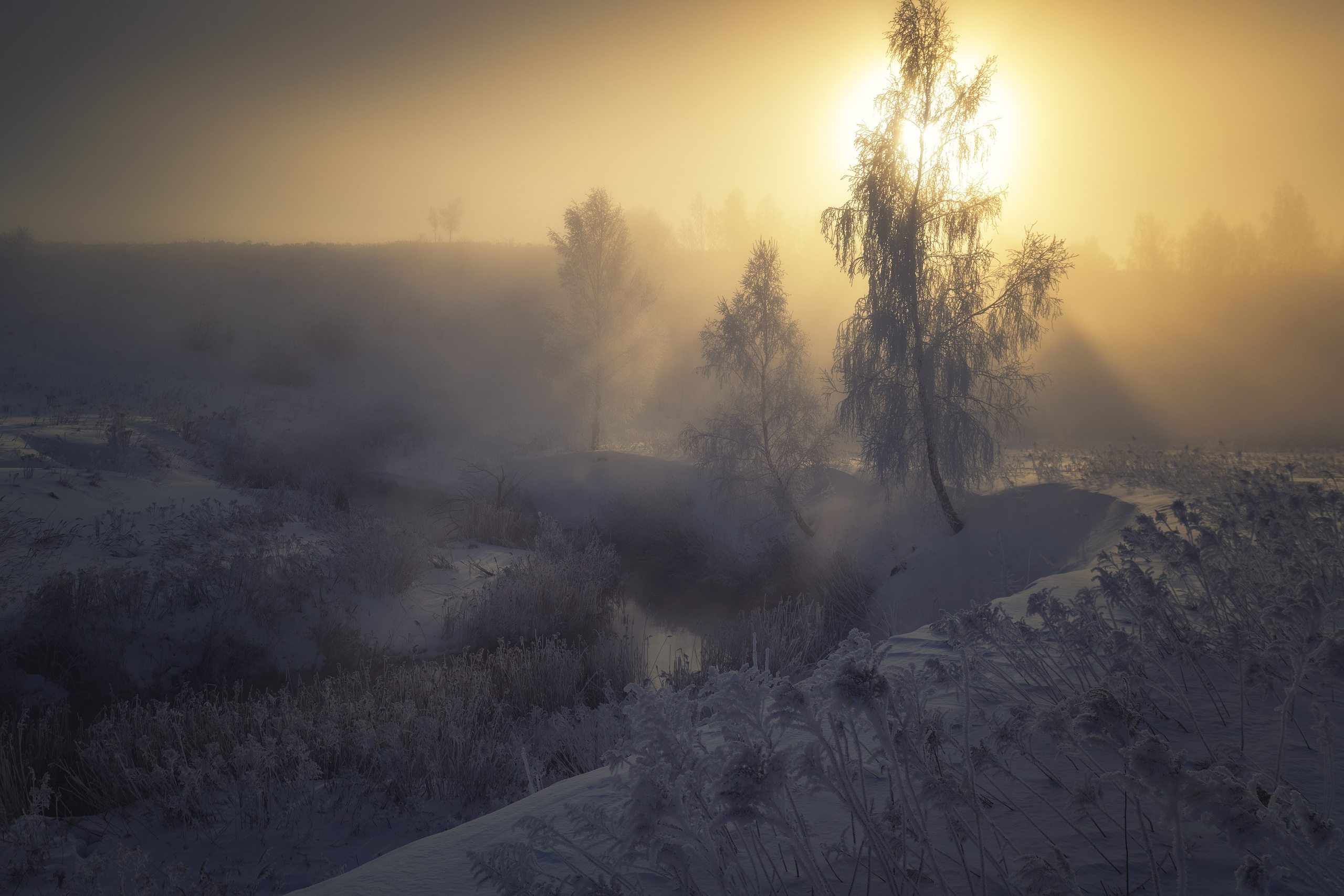 Туман над р. Деготня в районе д. Малая Кожуховка. Николай Брытков — фотограф в Туле