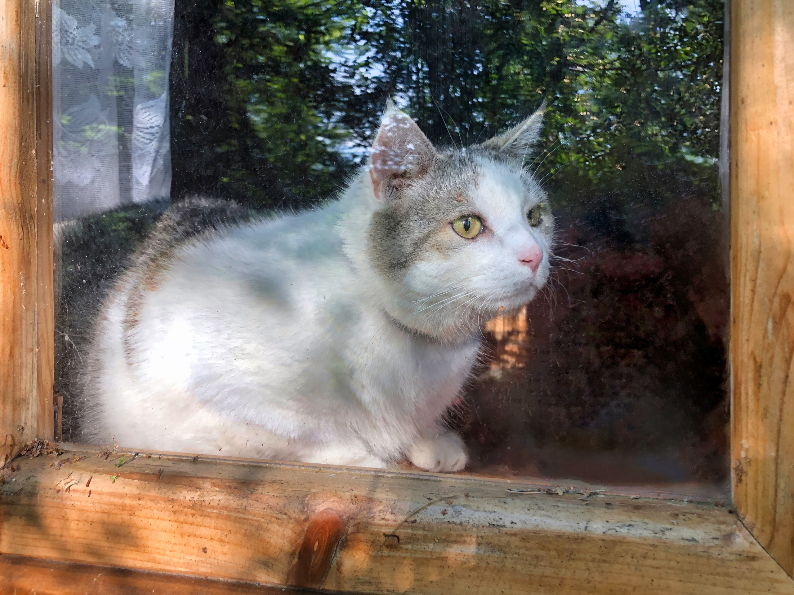 На берегу Угры. Конец мая 2024 года. Фотограф Никифоров-Гордеев Сергей. Москва и МО