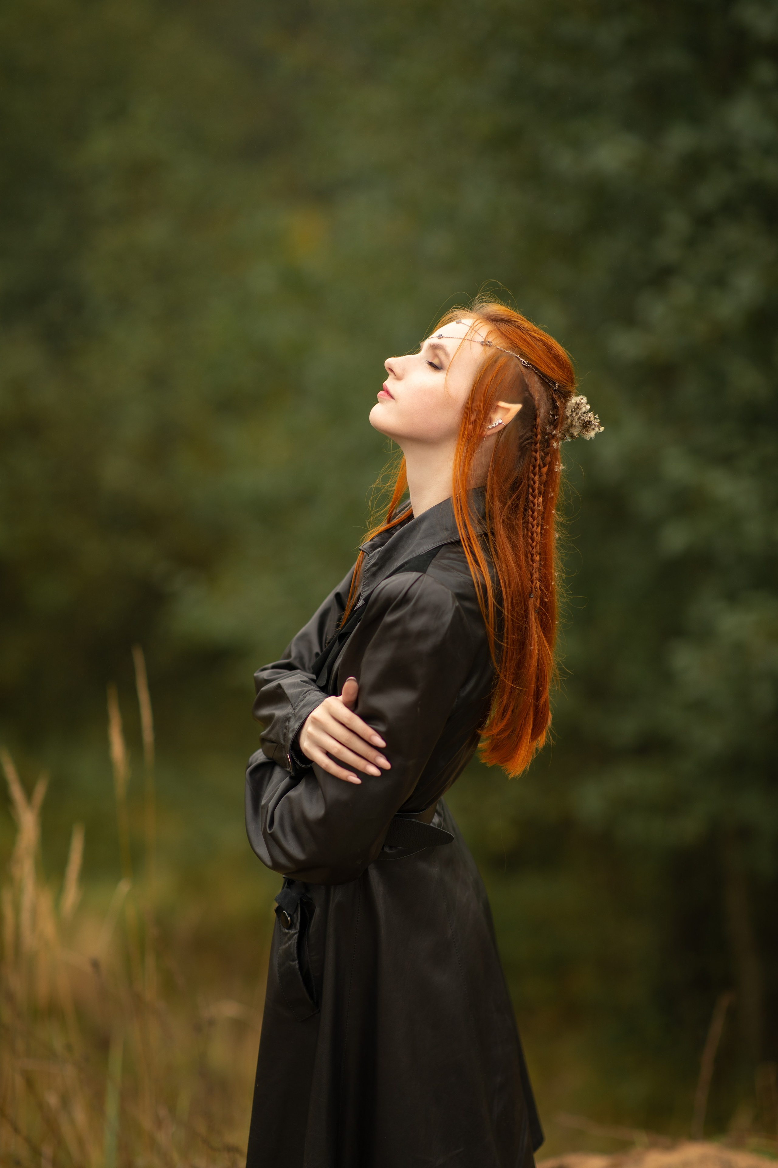 Волшебный лес