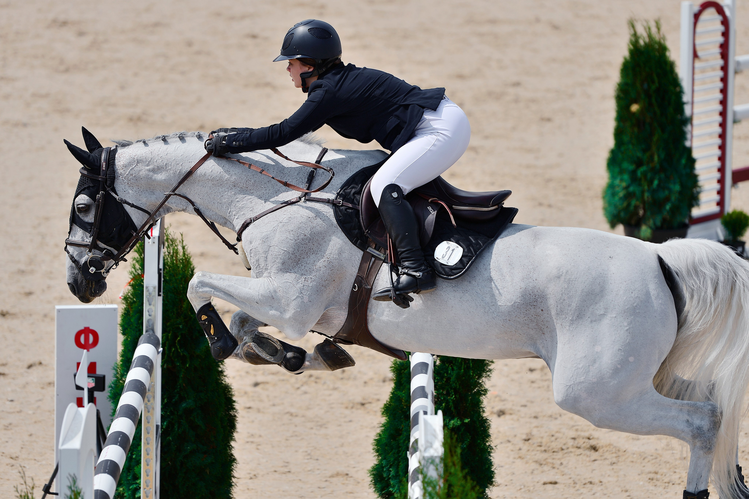 Репортаж Bitriver. Конный фотограф Alesya Safe