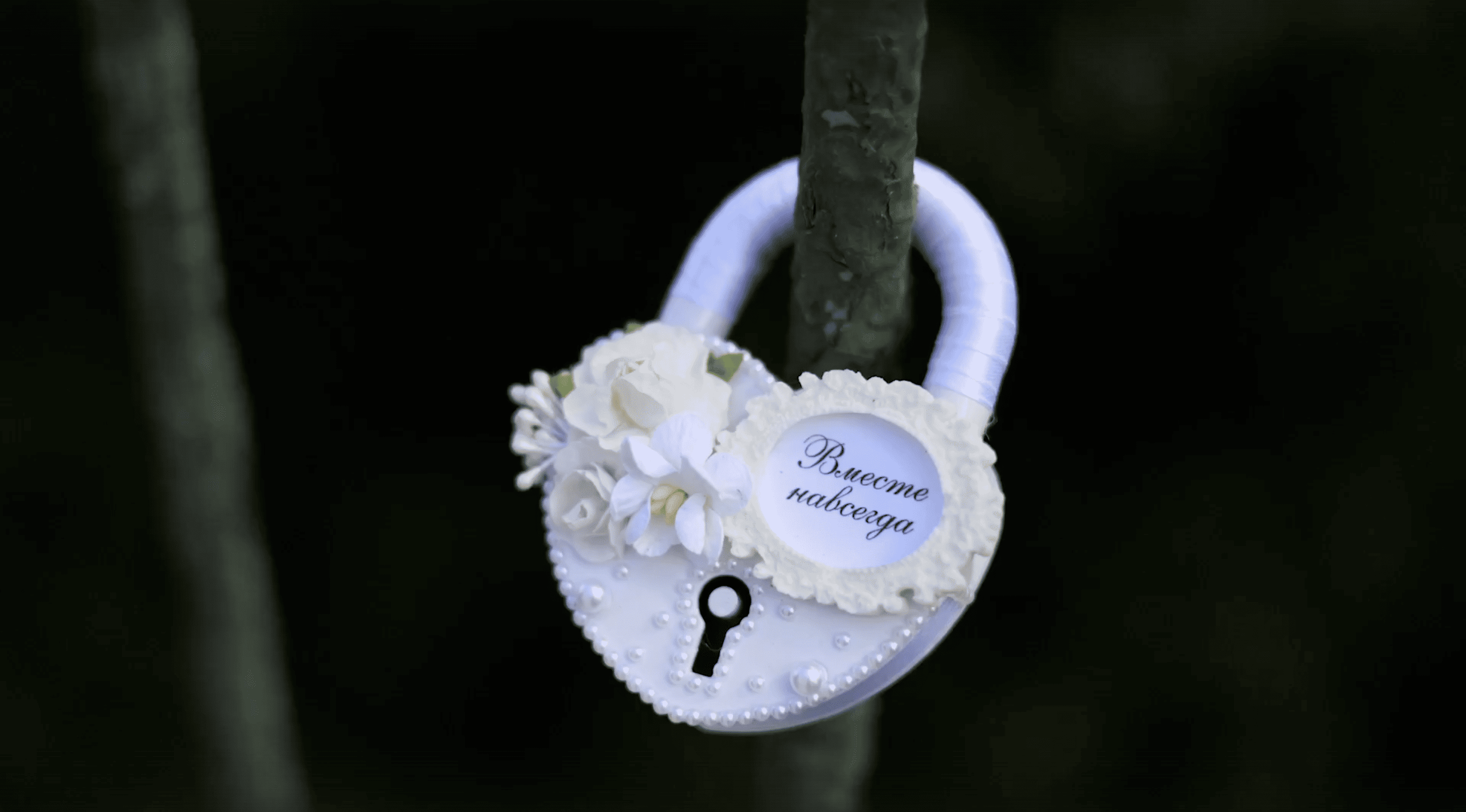 Свадебный видеограф AlexFilms в Воронеже и по всей России