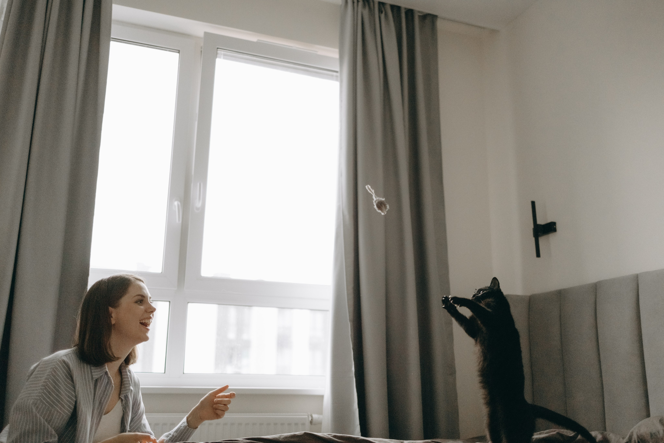 Настя, Никита и их Гром и Мяу. Фотограф — Анималист | Санкт-Петербург