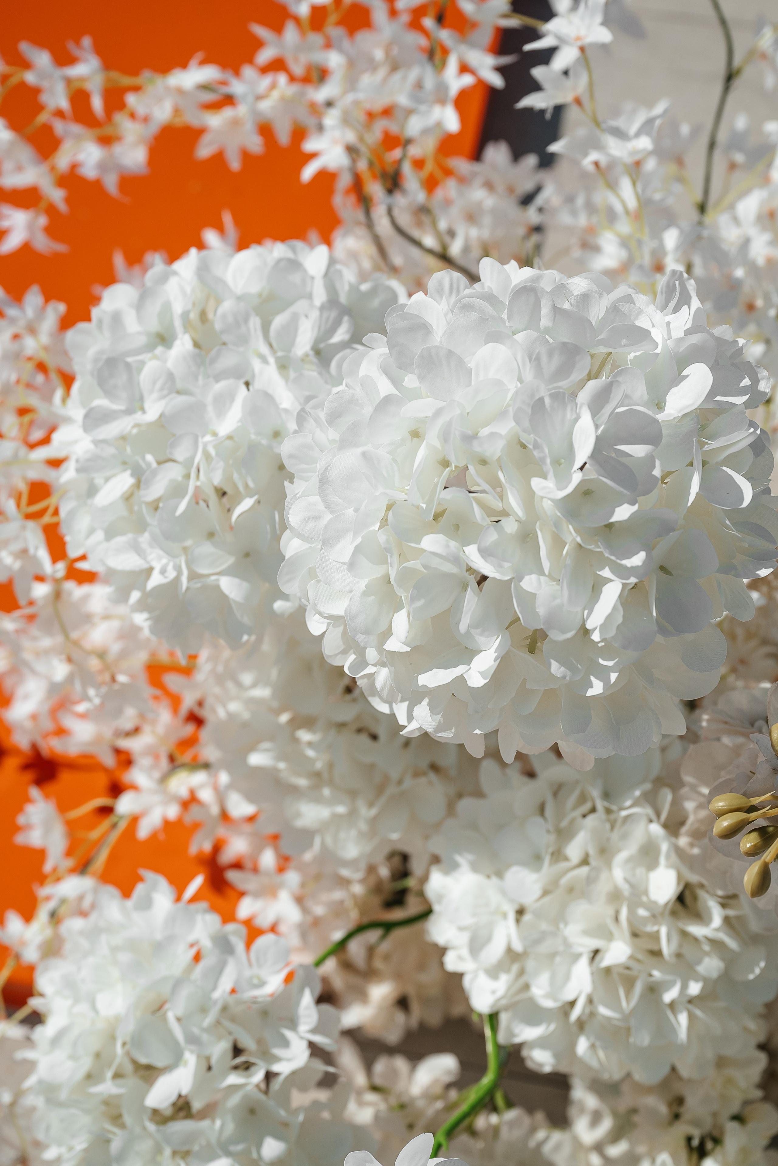 Костя & Лиза. RETOUCH-HOUSE