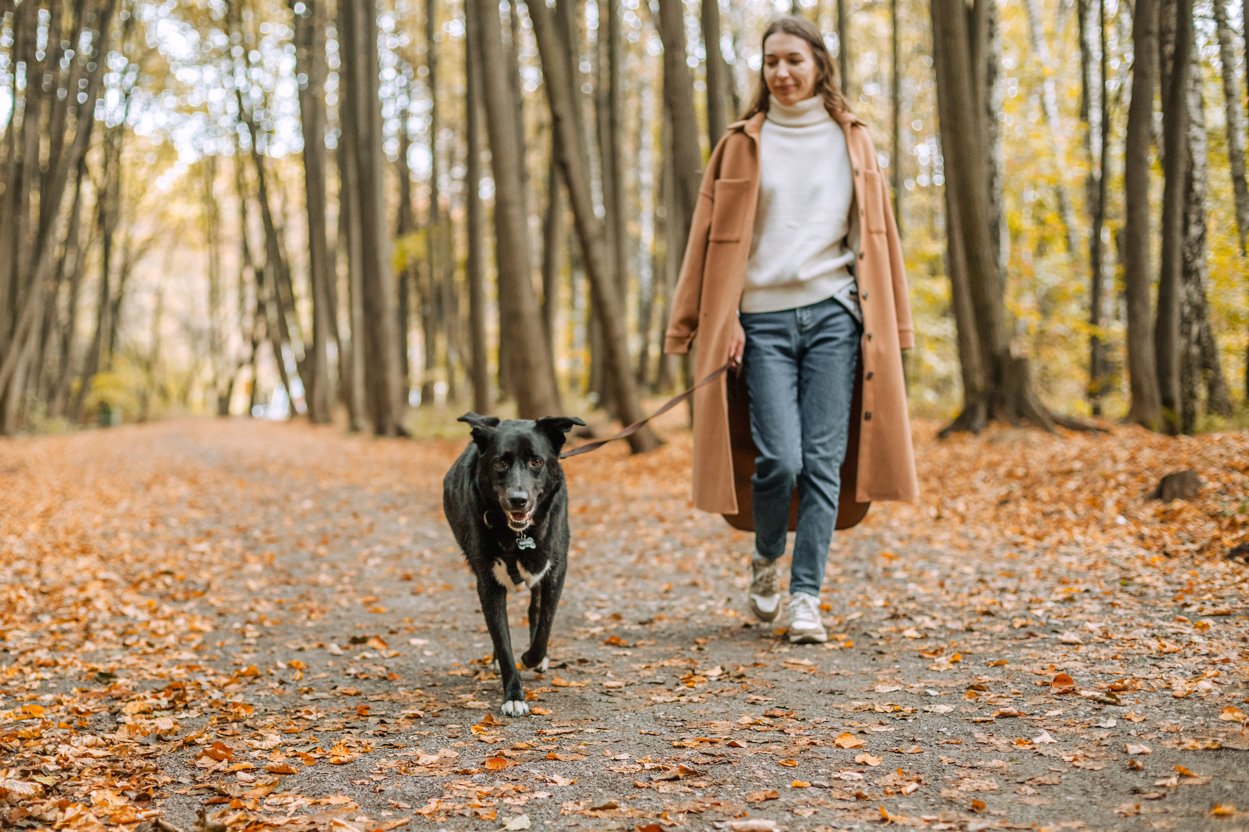 Юля и Фортуна. Фотограф-анималист Татьяна Степанова