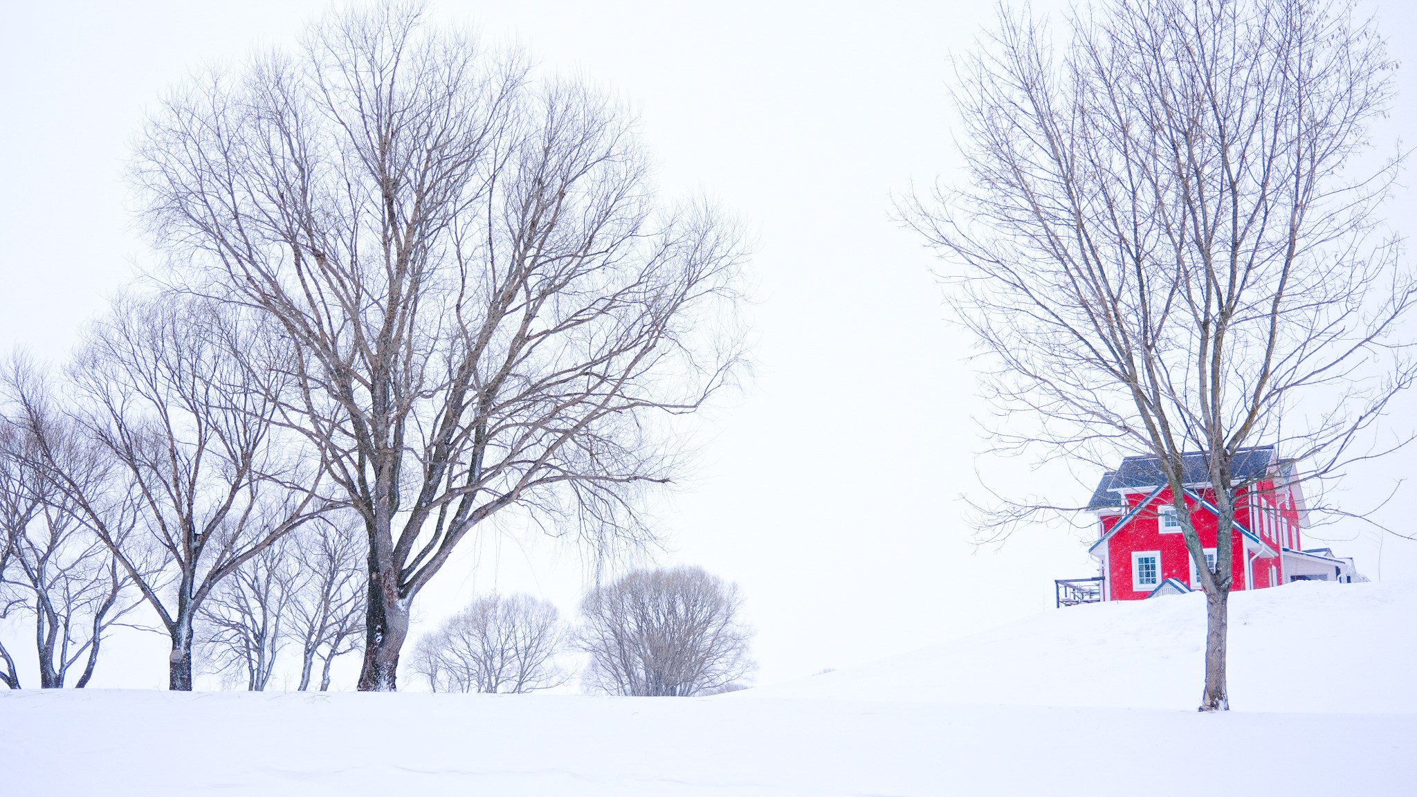 Mod. Y — Рыбная деревня. Frankstidda — photographer