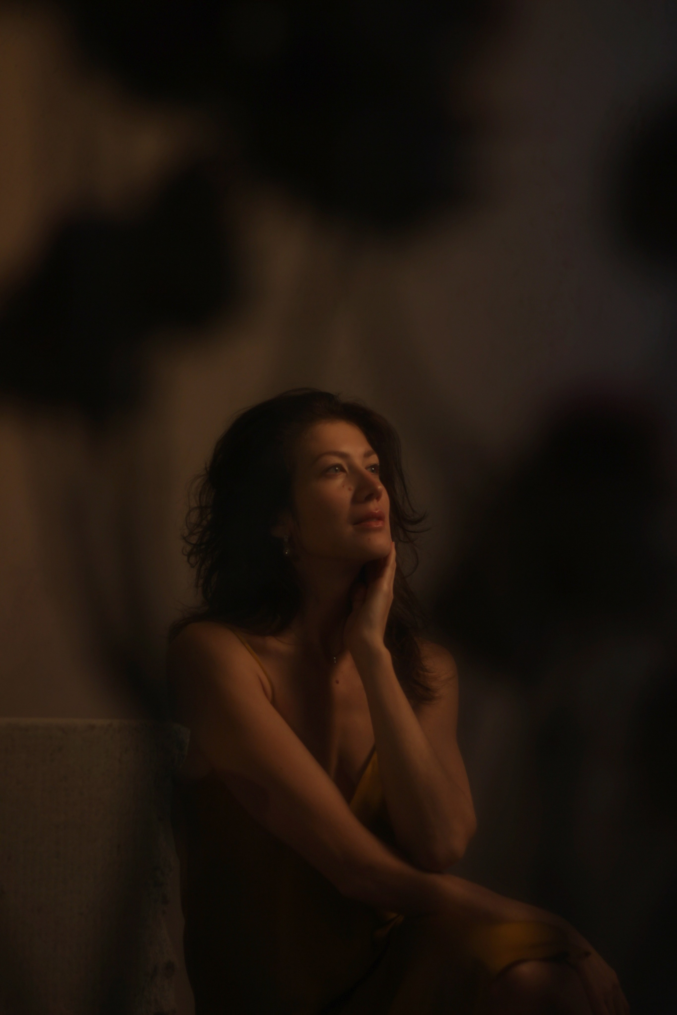 Изысканность сквозь артишоки. Фотограф Красноярск