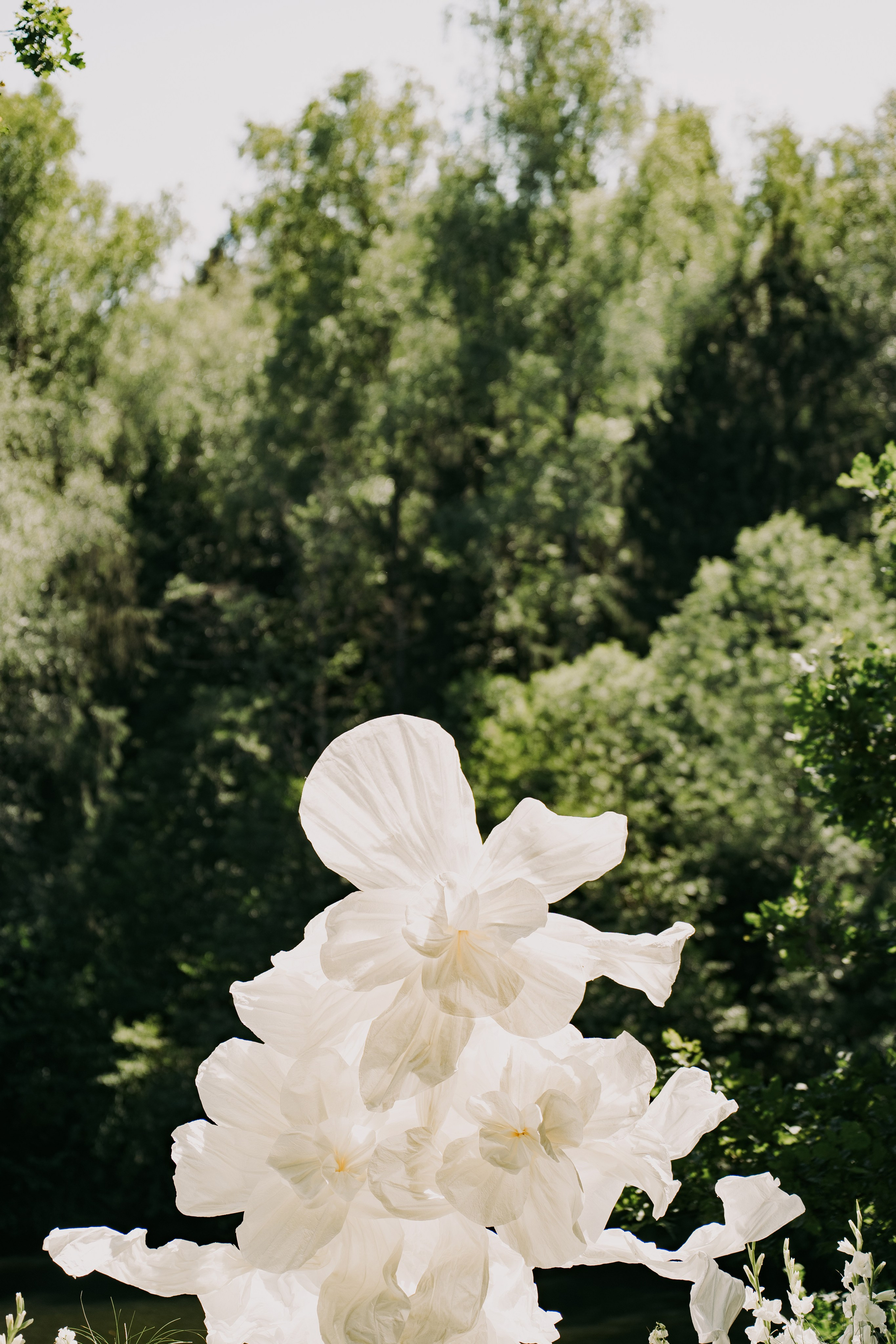 Смех, любовь и немного хаоса. Фотограф Евстигнеев Илья