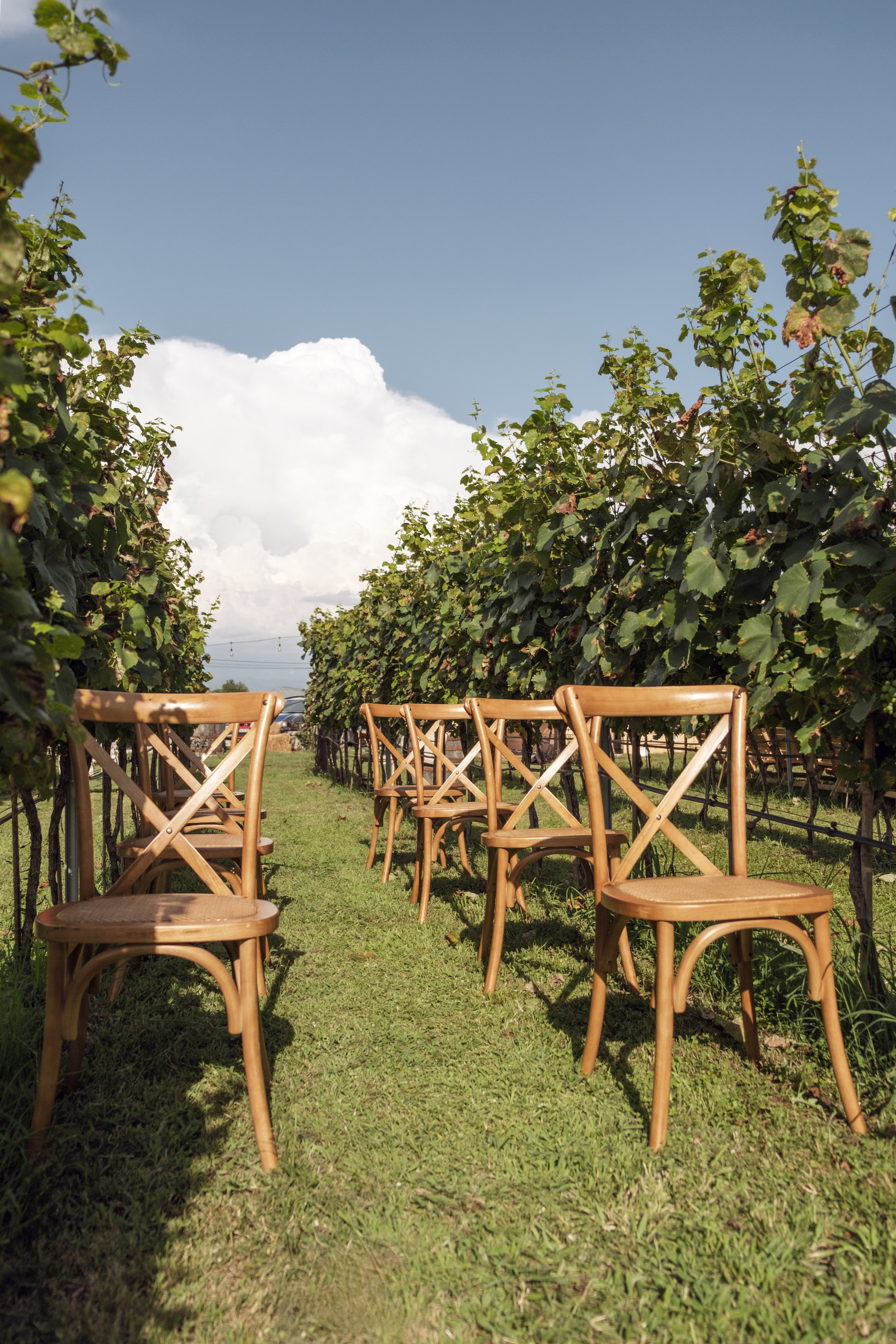 Jovana и Milosh. Family and wedding photographer in Montenegro