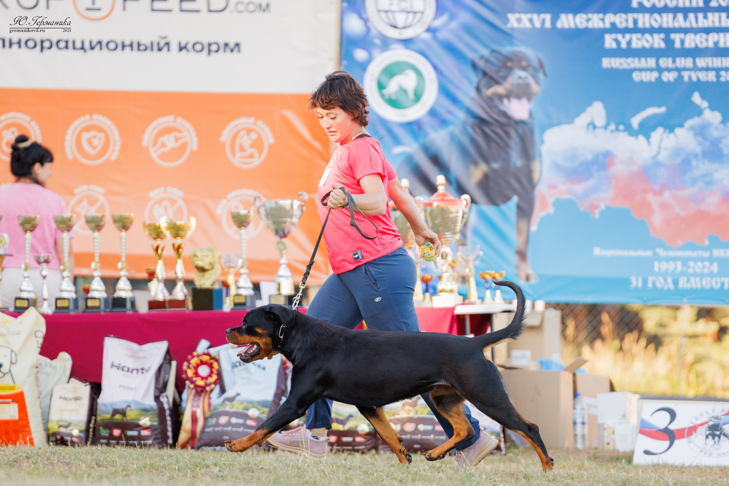 ПК и КЧК ротвейлеры Тверь 6-7.07.2024. Фотограф-анималист Юлия Германика
