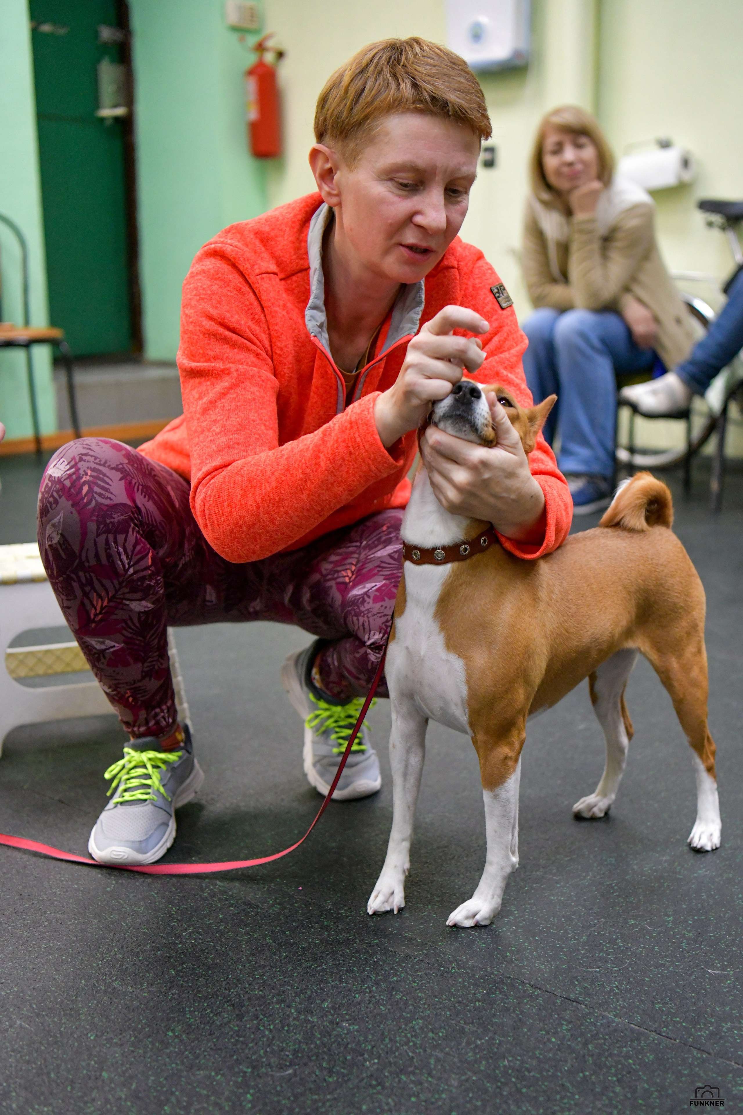 Кинологический клуб «Бодрый хвост». Свой взгляд через объектив