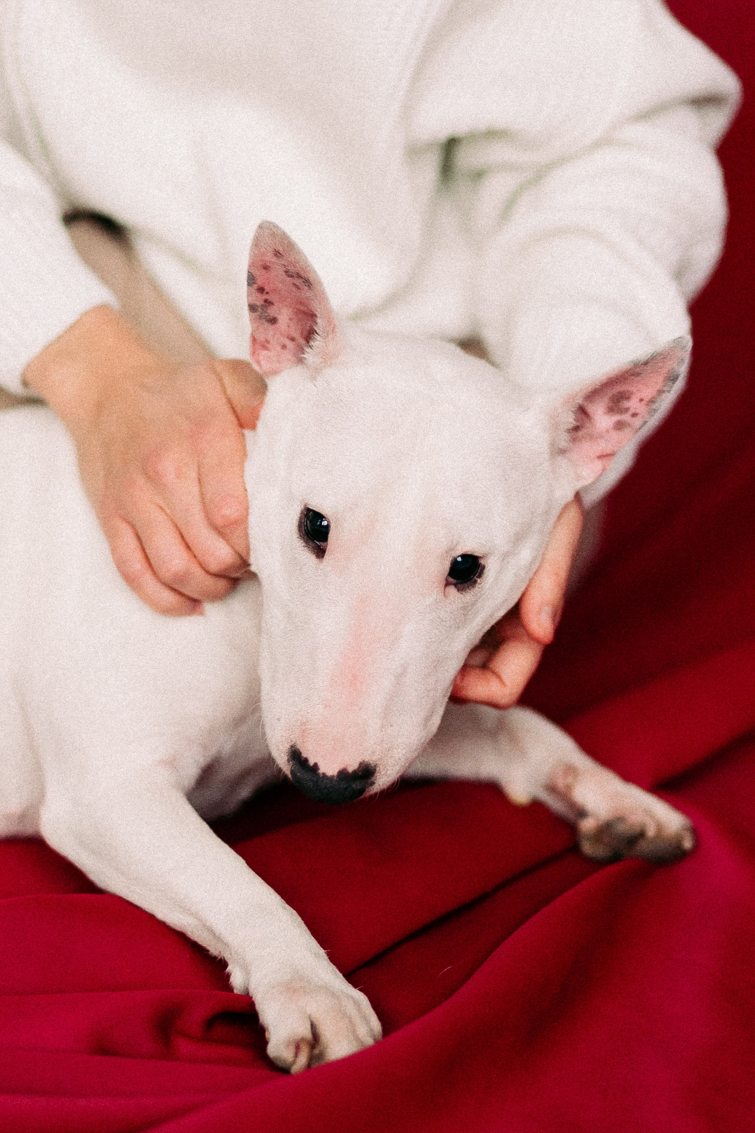 Таня и Пепа