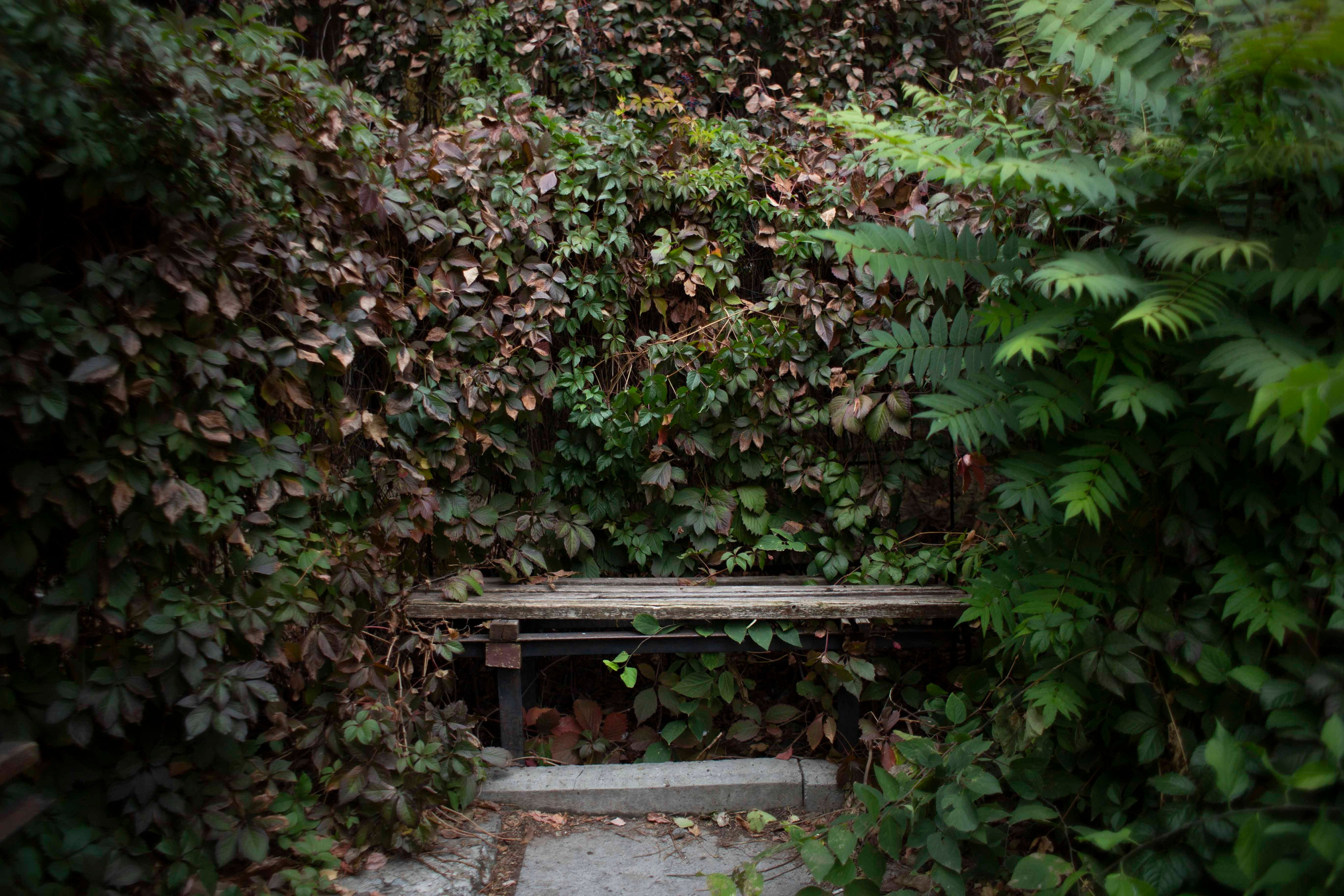 Street. Фотограф, в Ростове-на-дону