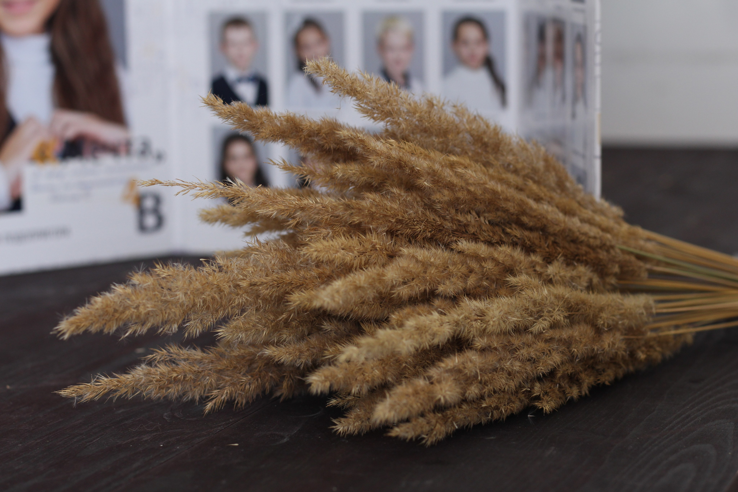 Портфолио фотокниг. Фотограф в Екатеринбурге Переверзева Анна