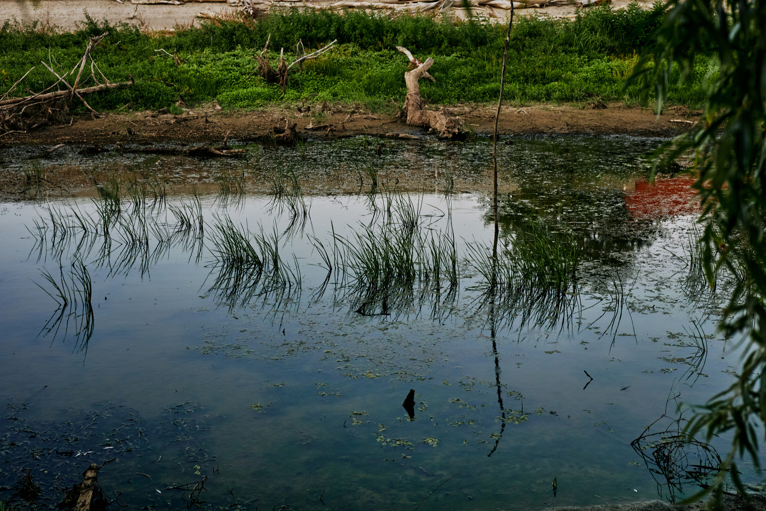 Пейзажи и уличная съёмка