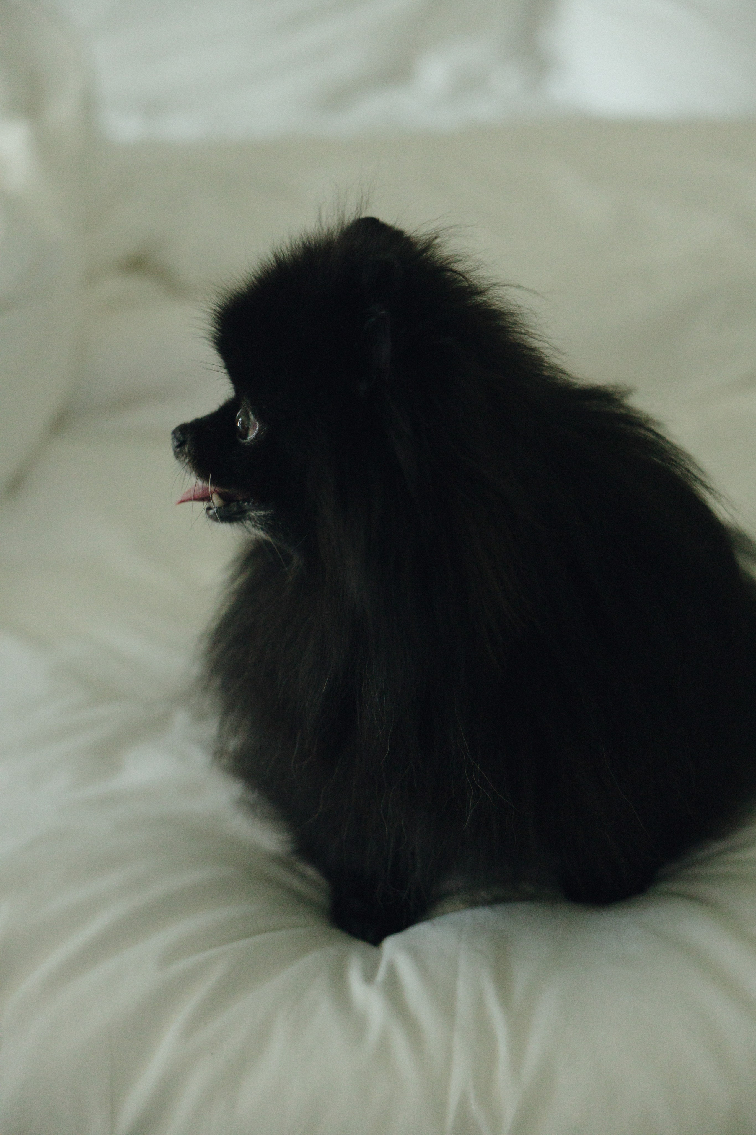 Ода нашей любви. Свадебный и Love story фотограф Никита Хуска город Пермь