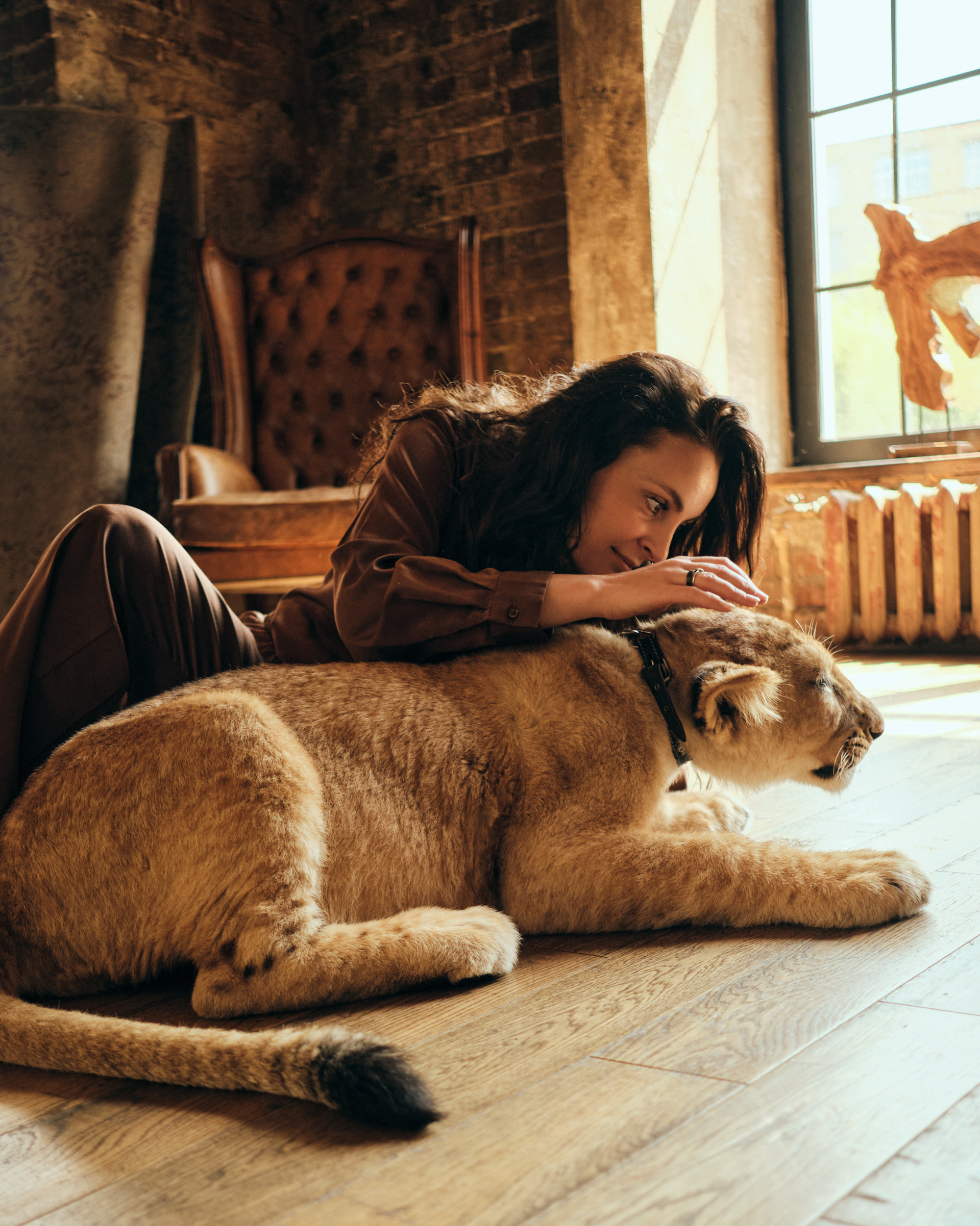 Львица. Фотограф в Москве — Галунина Кристина