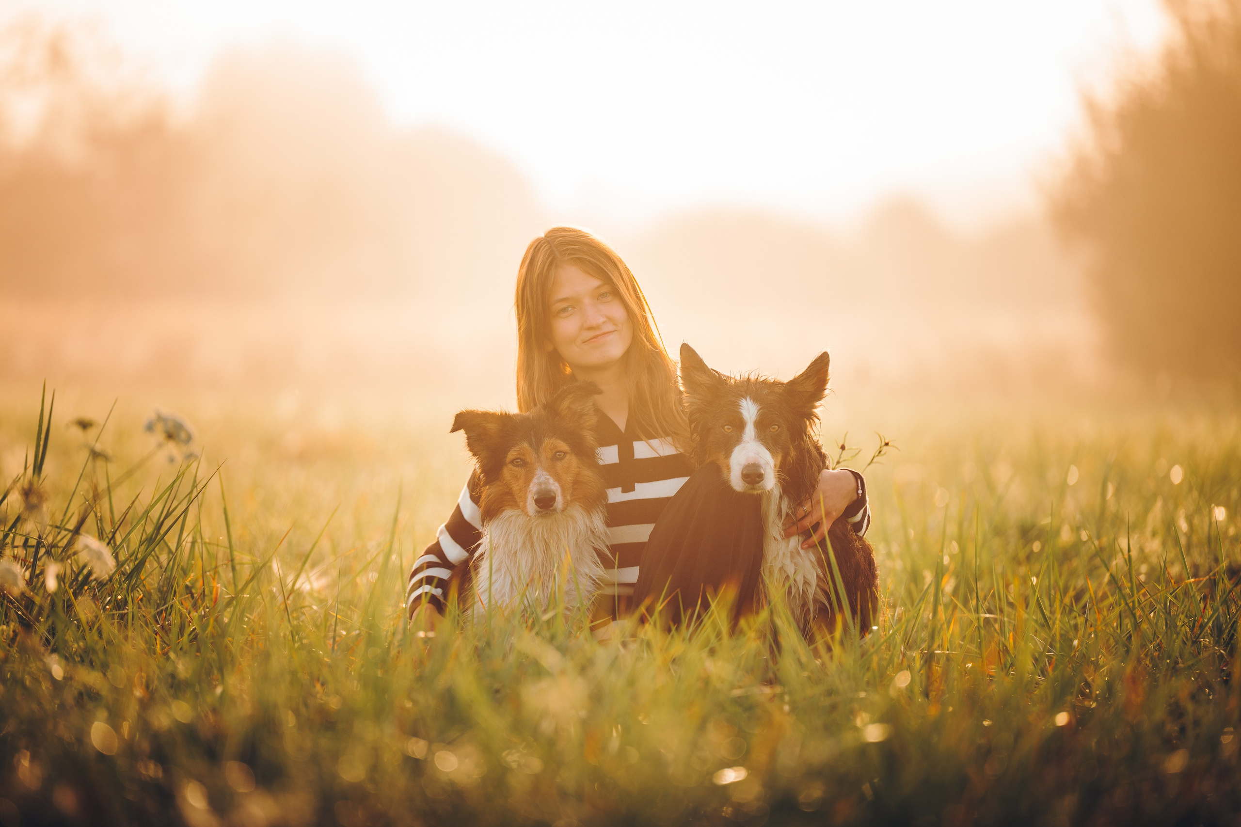 Саша, Флик и Эсприт. Семейный фотограф анималист Ананьева Мария — Москва