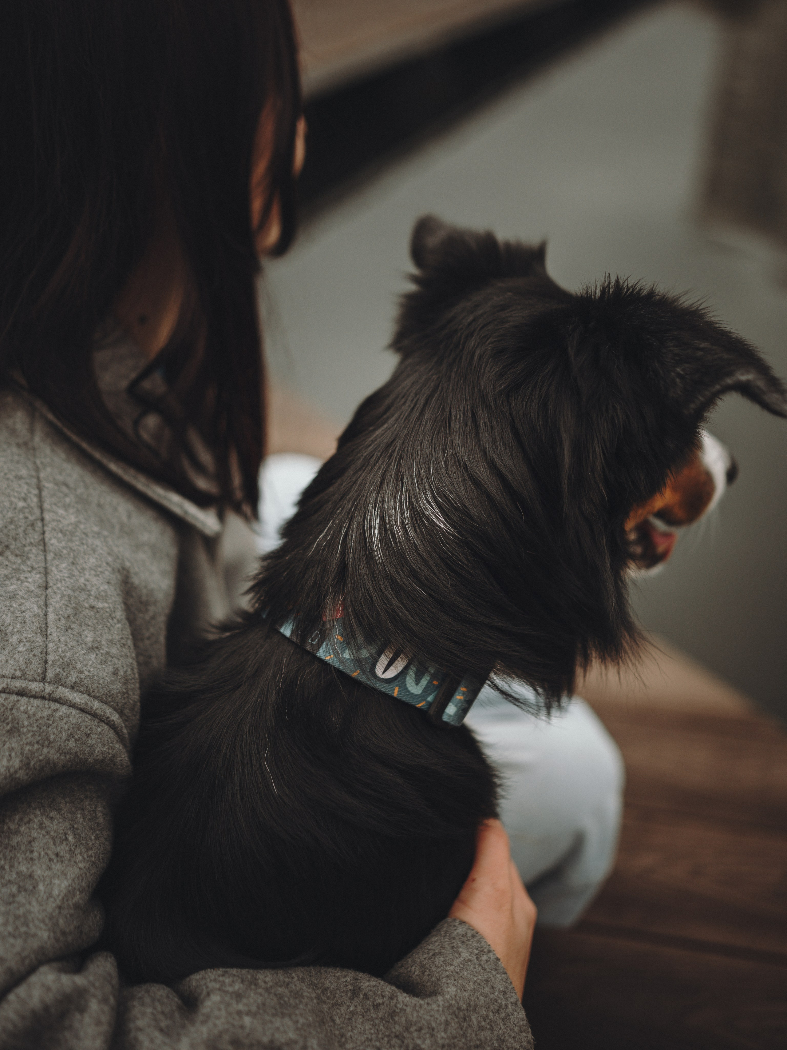 Аня, Оскар и Яр. Семейный фотограф анималист Ананьева Мария — Москва
