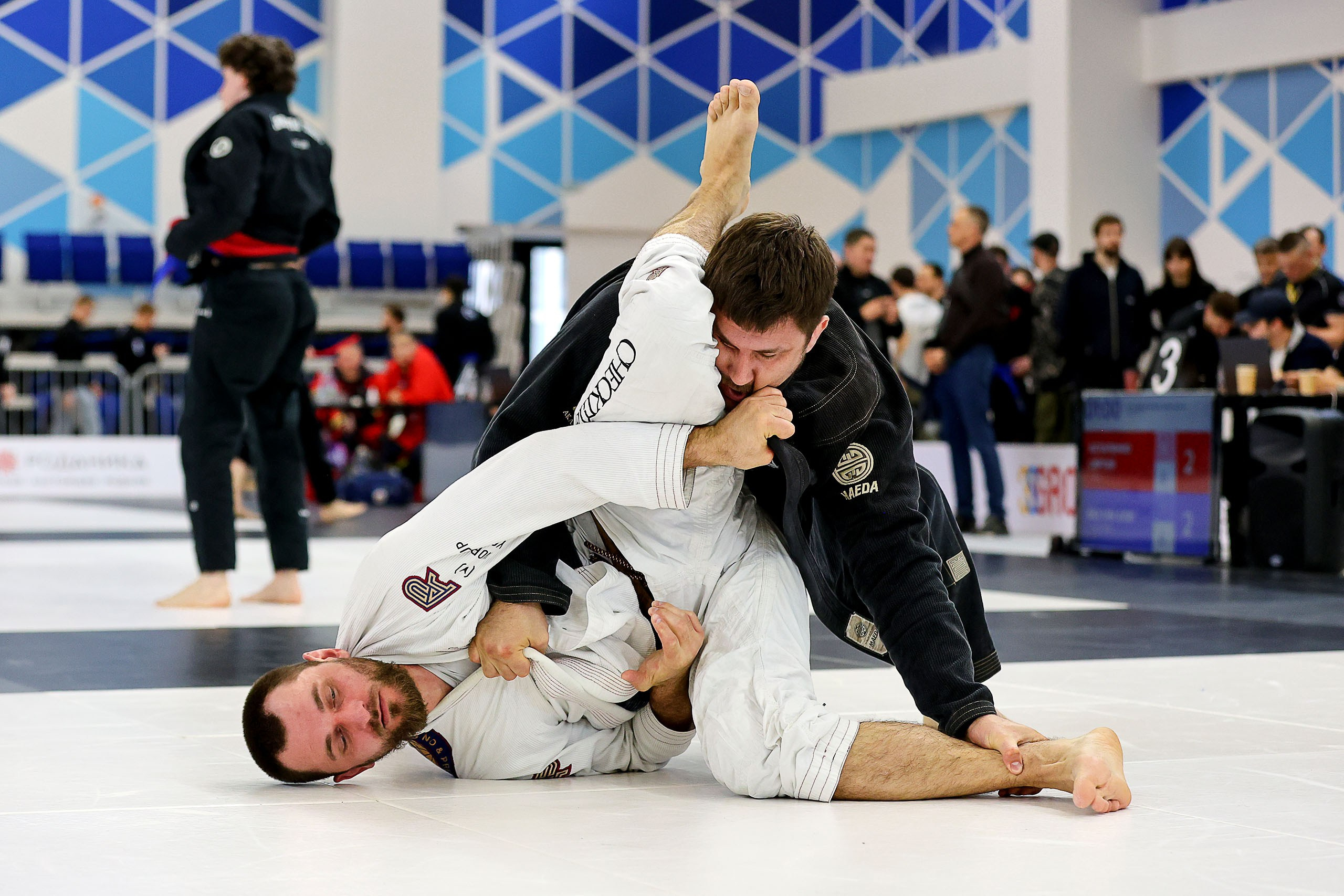 BJJ. Спортивный фотограф в Нижнем Новгороде и Сочи Ангелина Ильичева